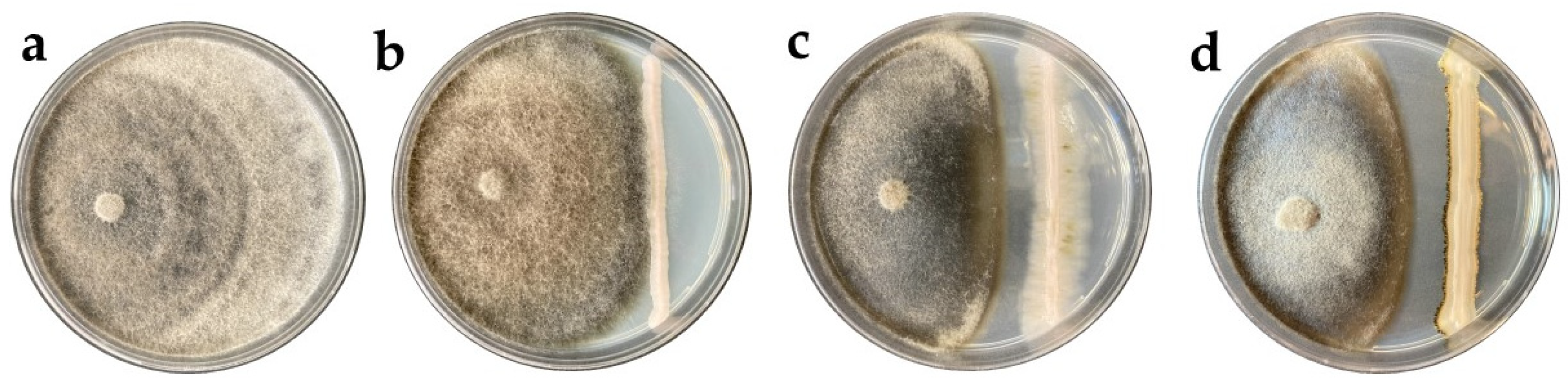 Horticulturae 09 01156 g002