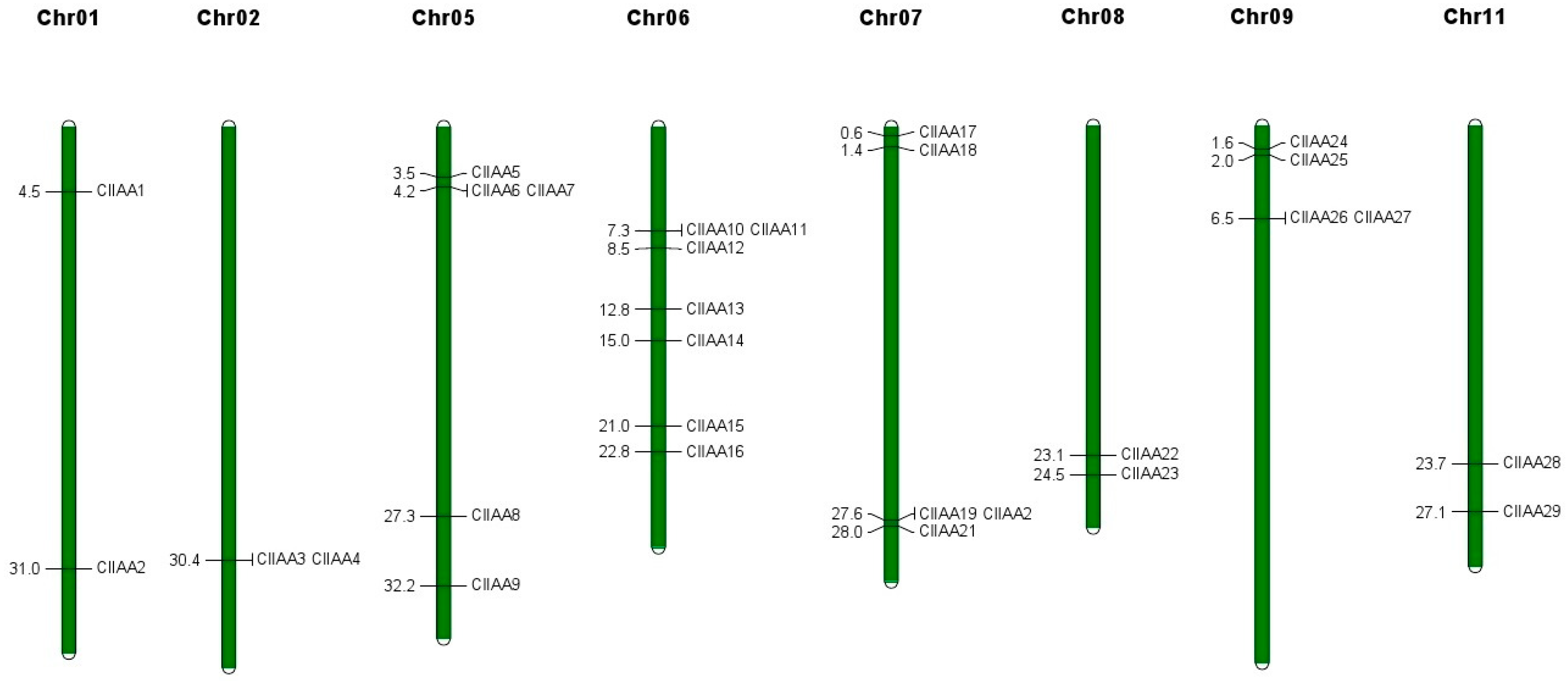 Horticulturae 09 01167 g001