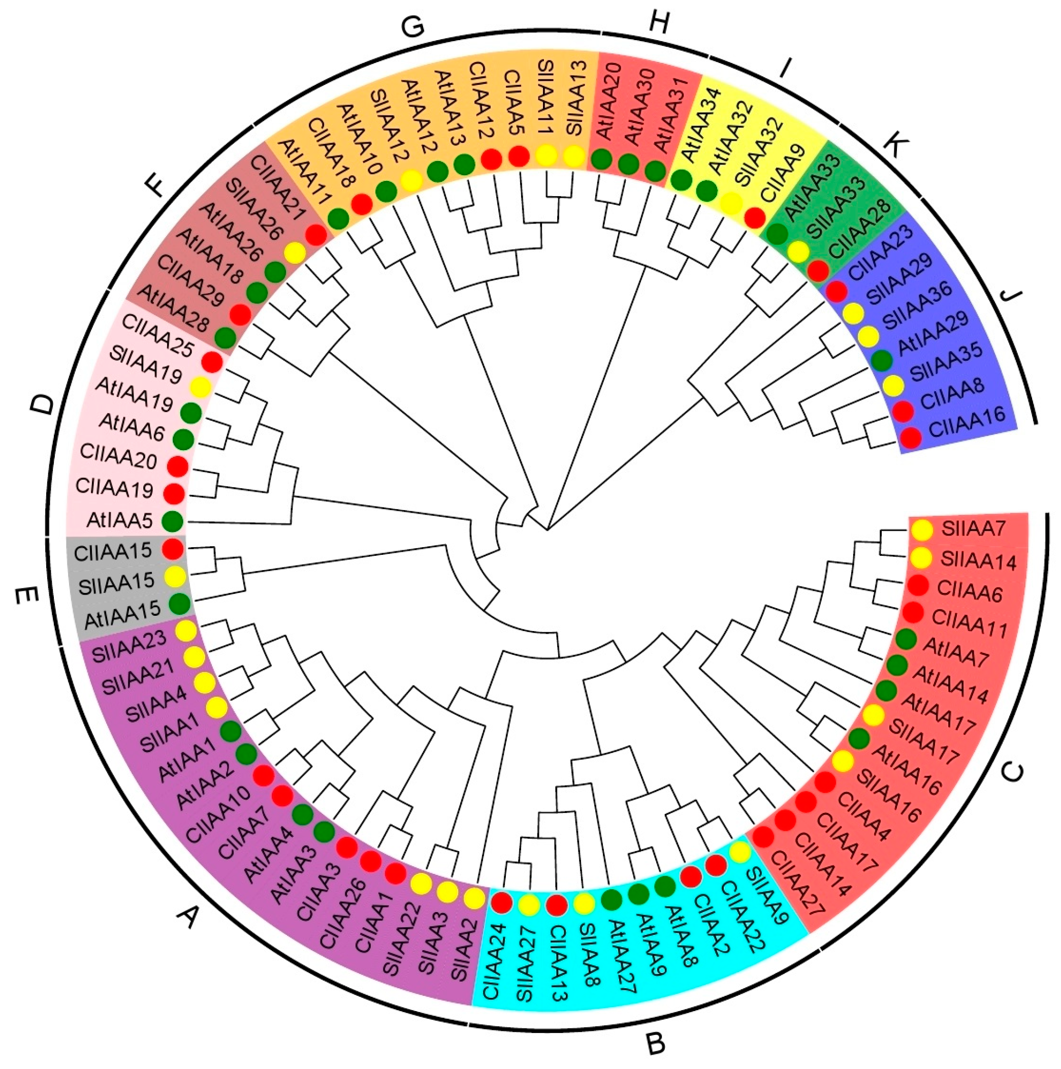 Horticulturae 09 01167 g002