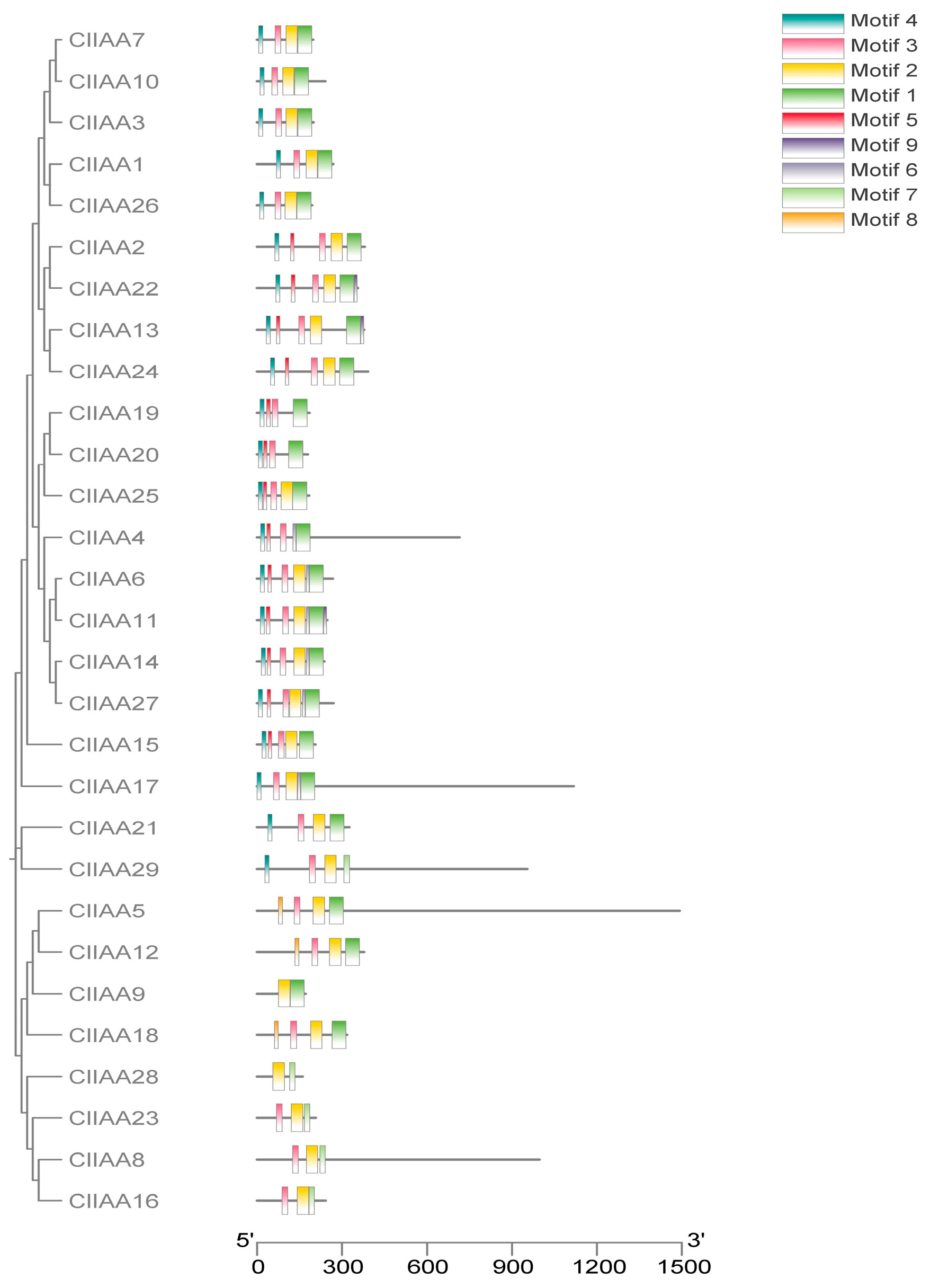 Horticulturae 09 01167 g003