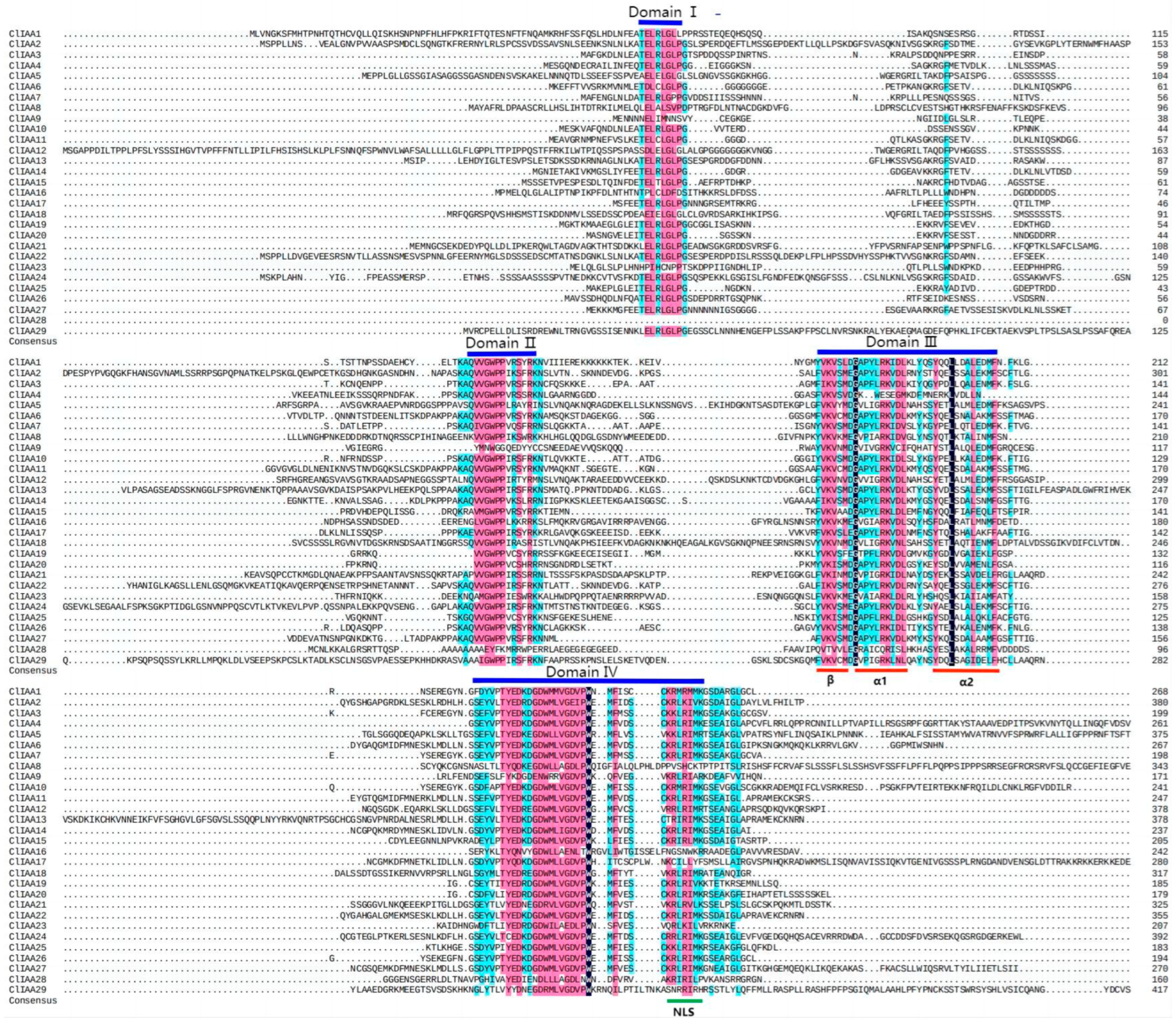 Horticulturae 09 01167 g004