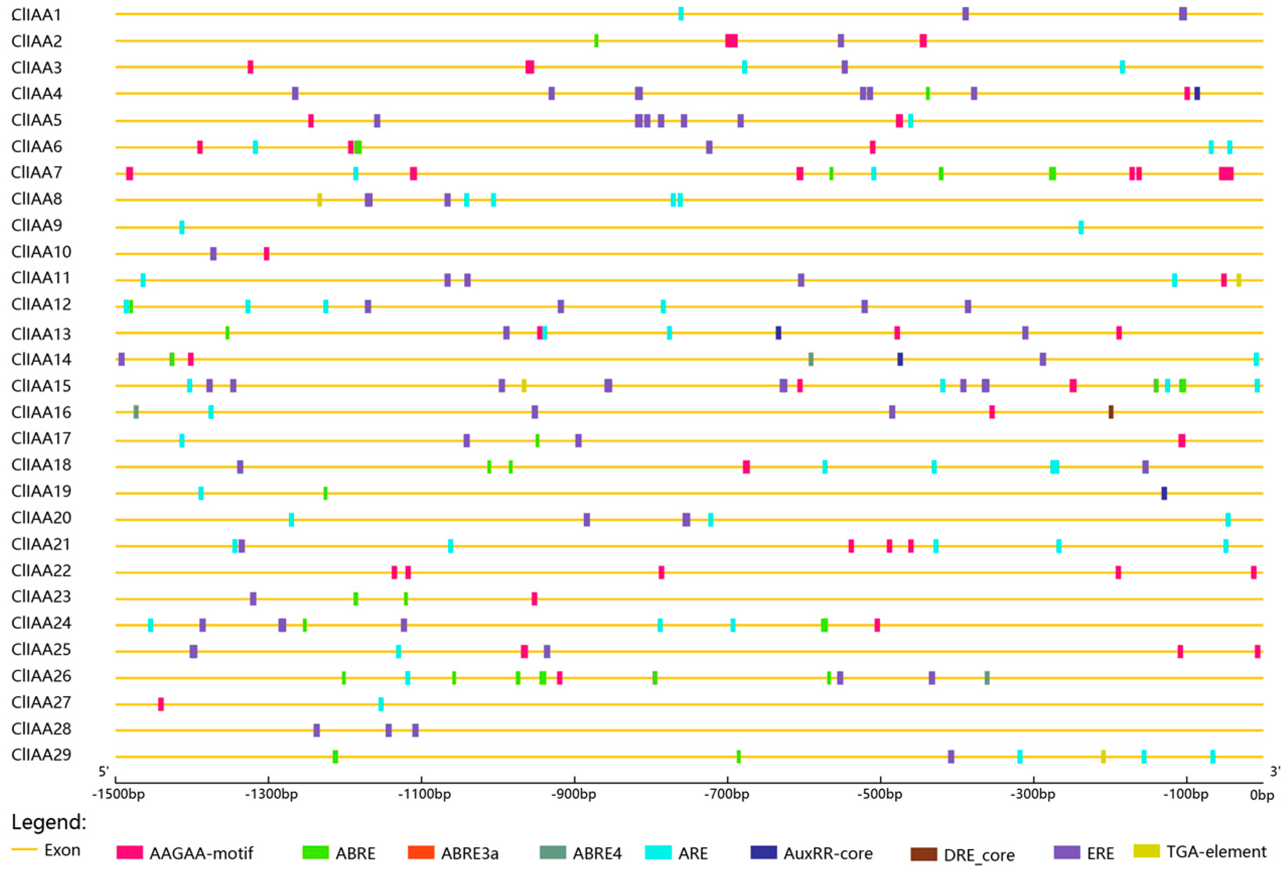 Horticulturae 09 01167 g005