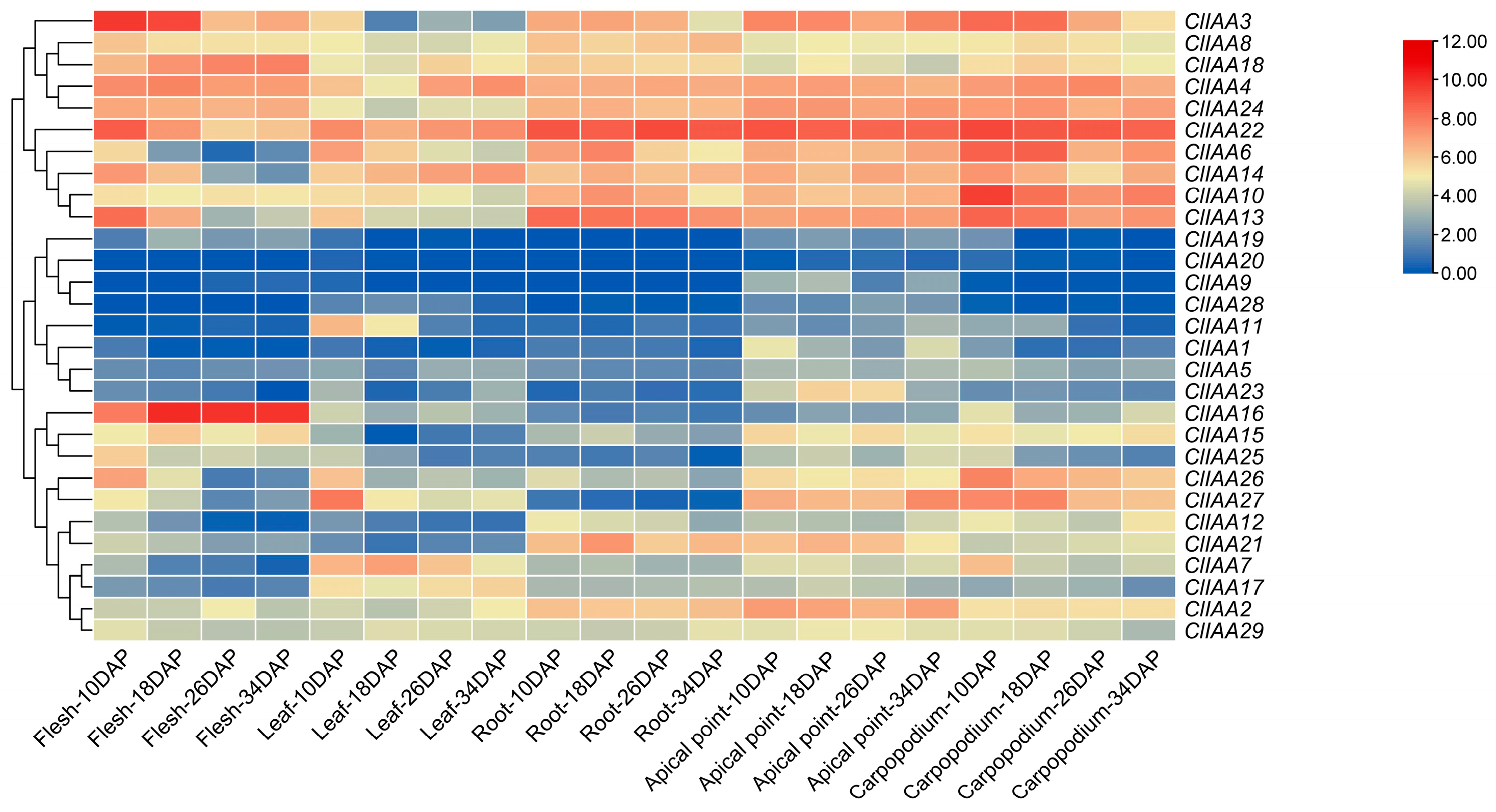 Horticulturae 09 01167 g006