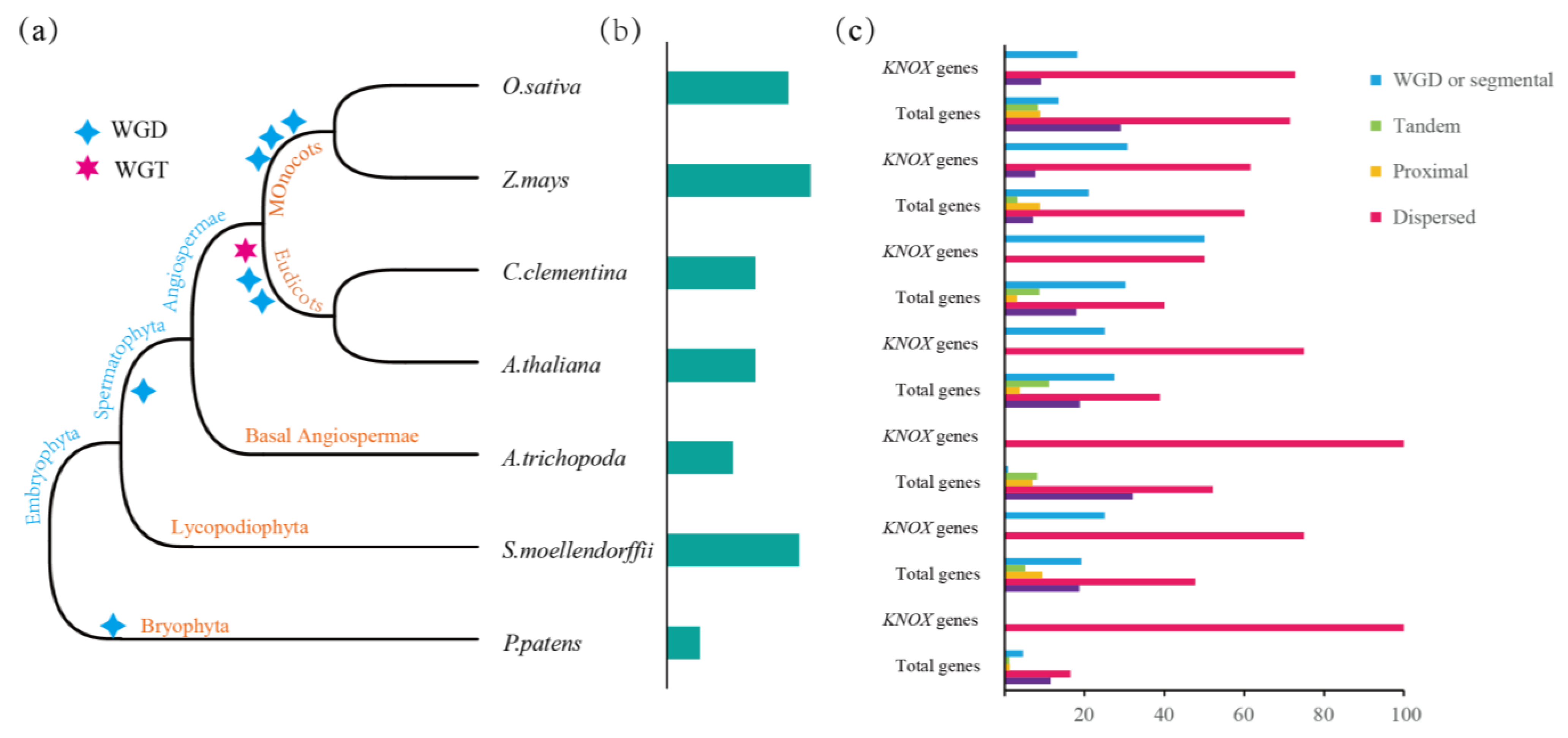 Horticulturae 09 01174 g005 Horticulturae 09 01174 g005