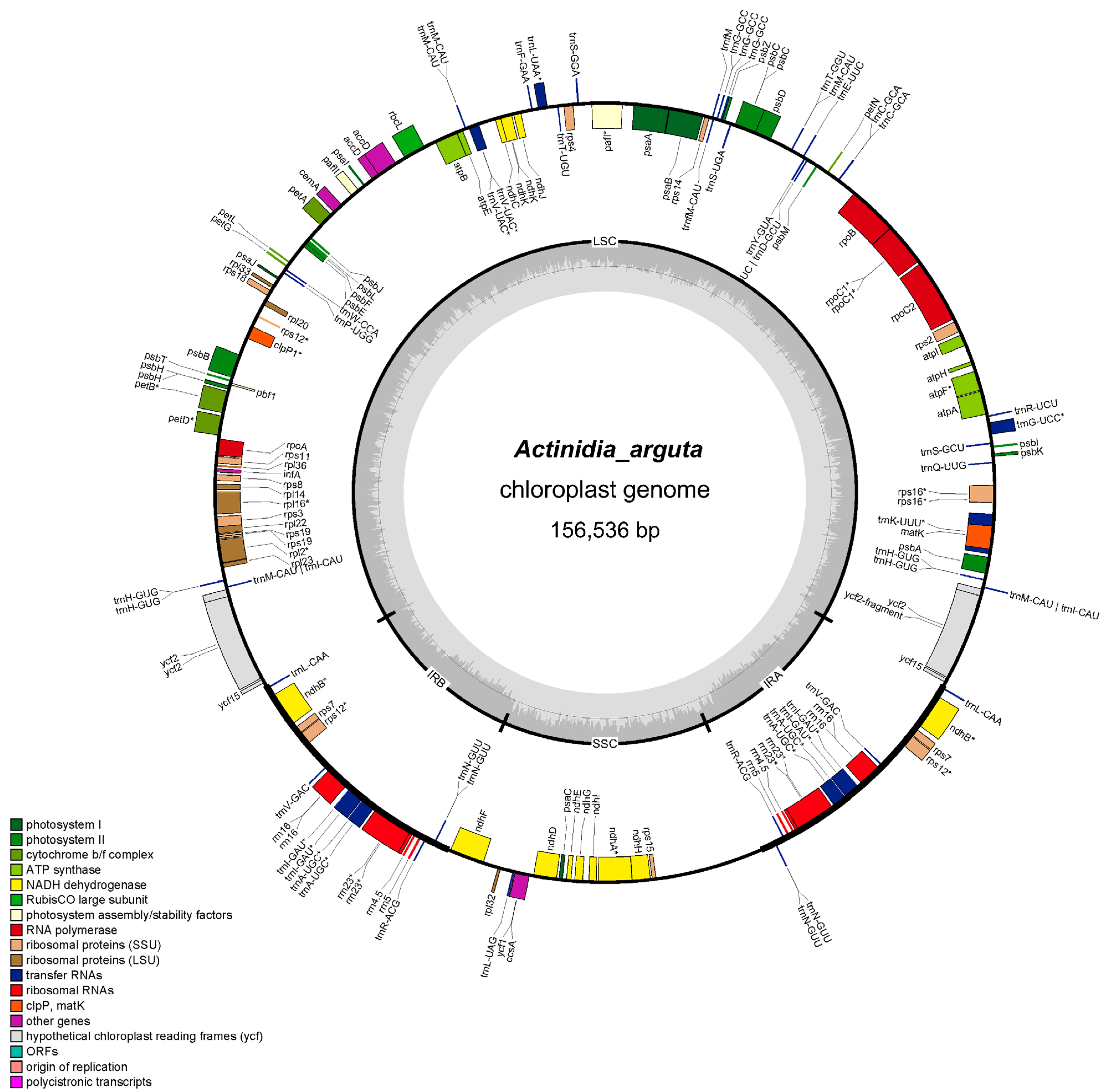 Horticulturae 09 01175 g001