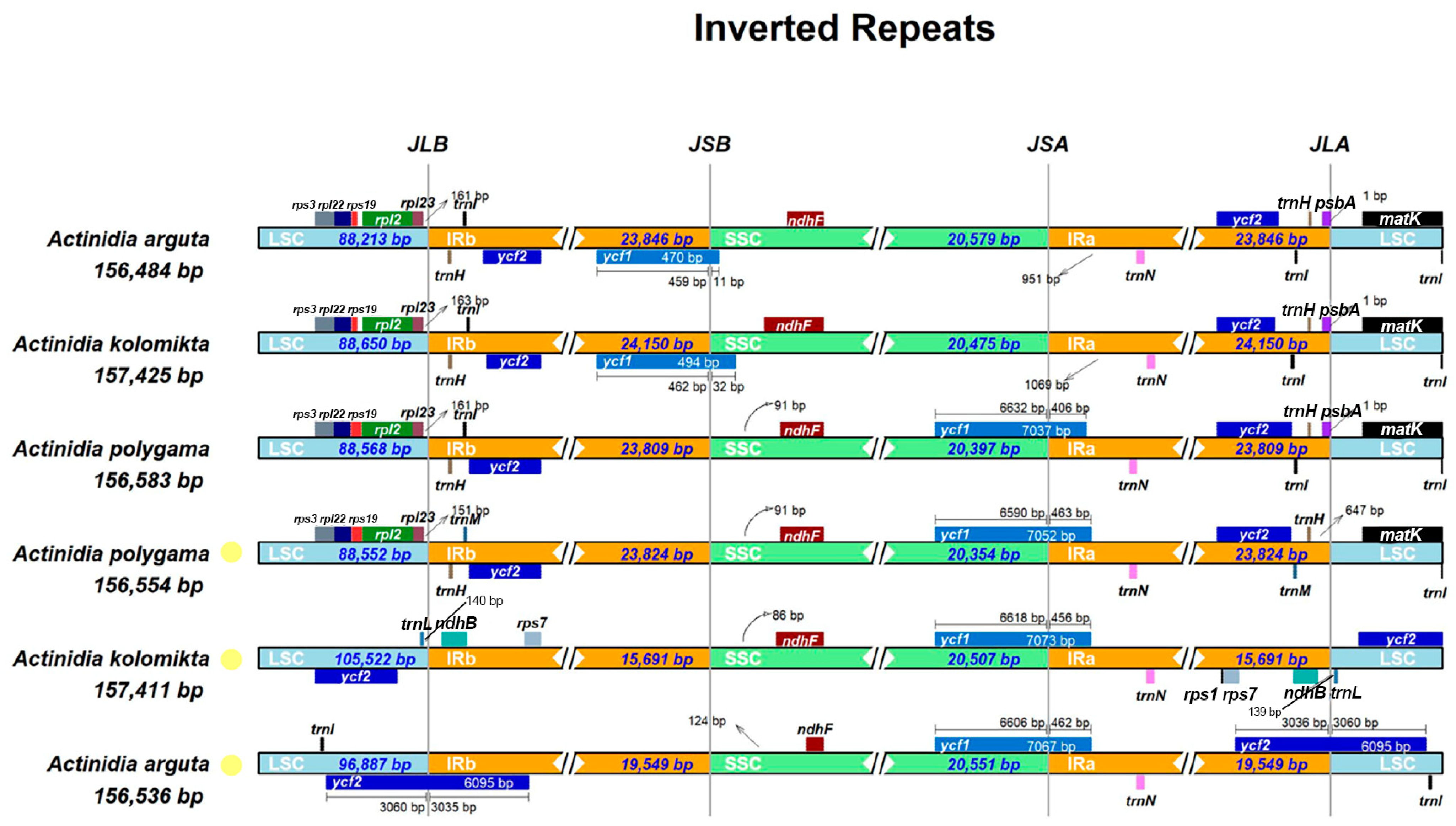 Horticulturae 09 01175 g002