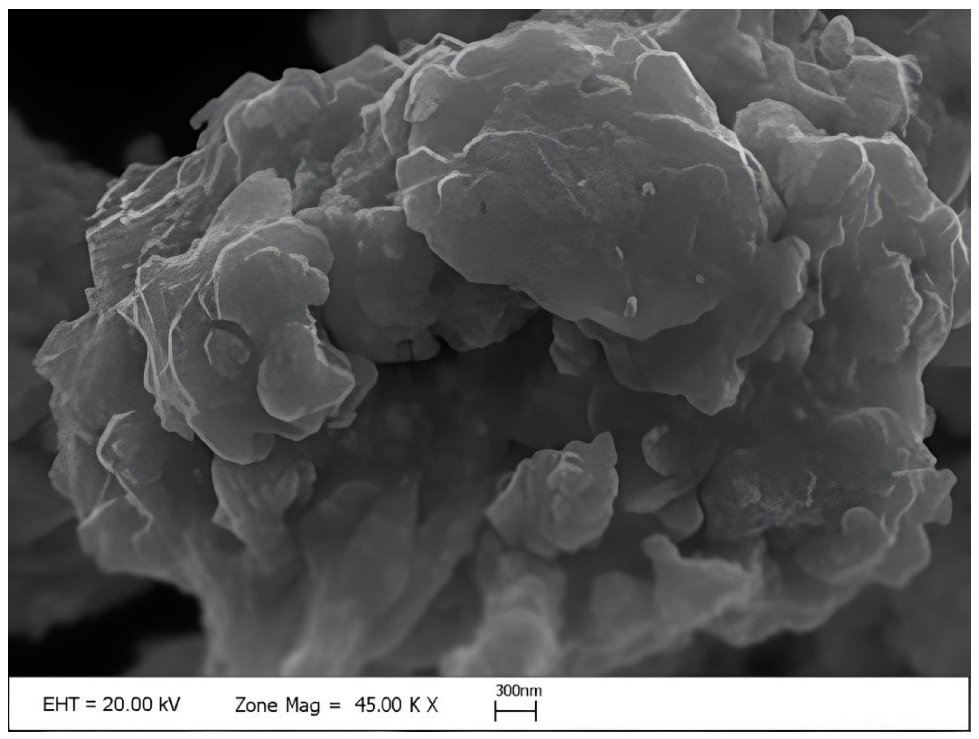 Horticulturae 09 01177 g001 Horticulturae 09 01177 g001