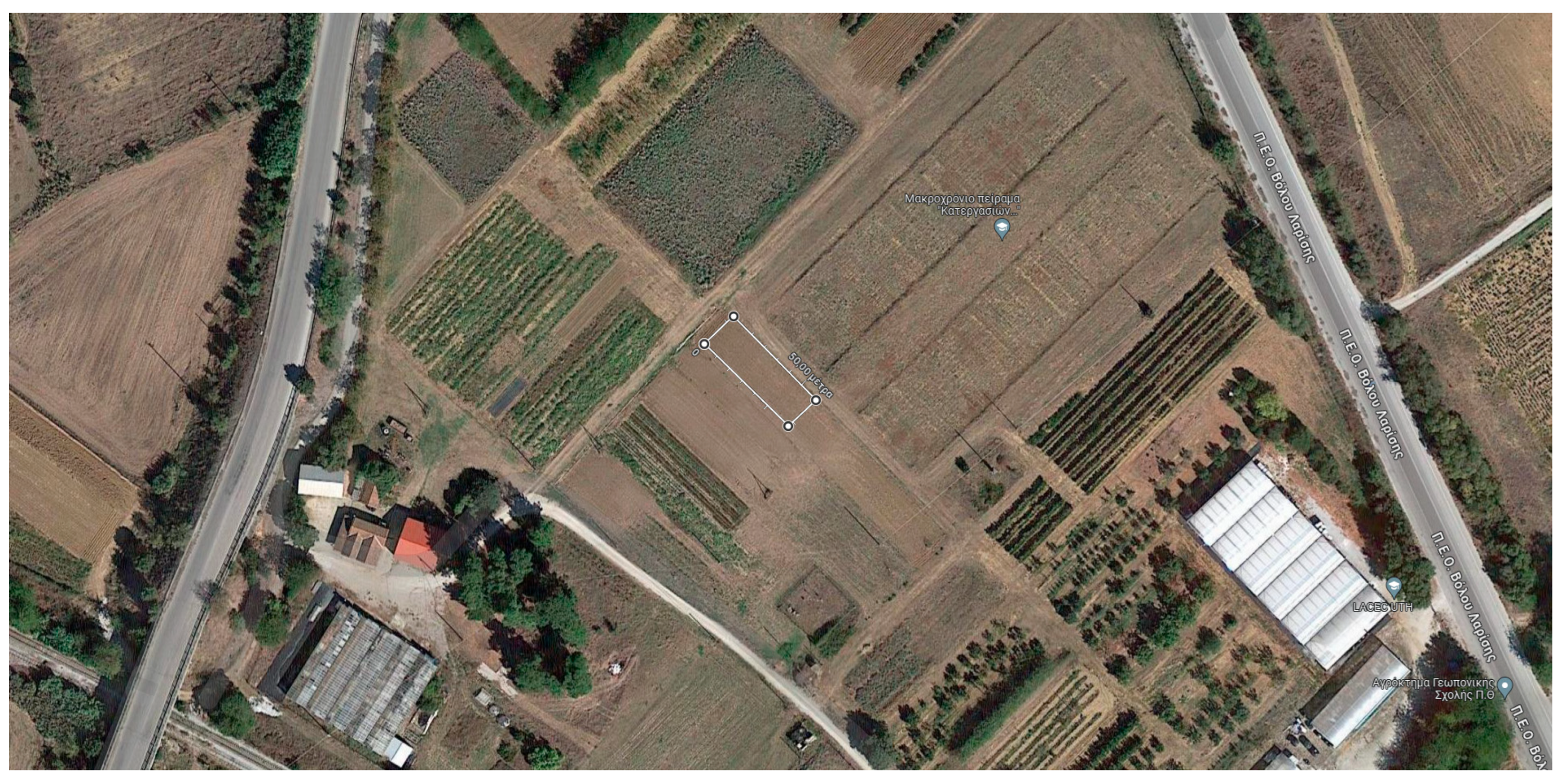 Horticulturae 09 01184 g001