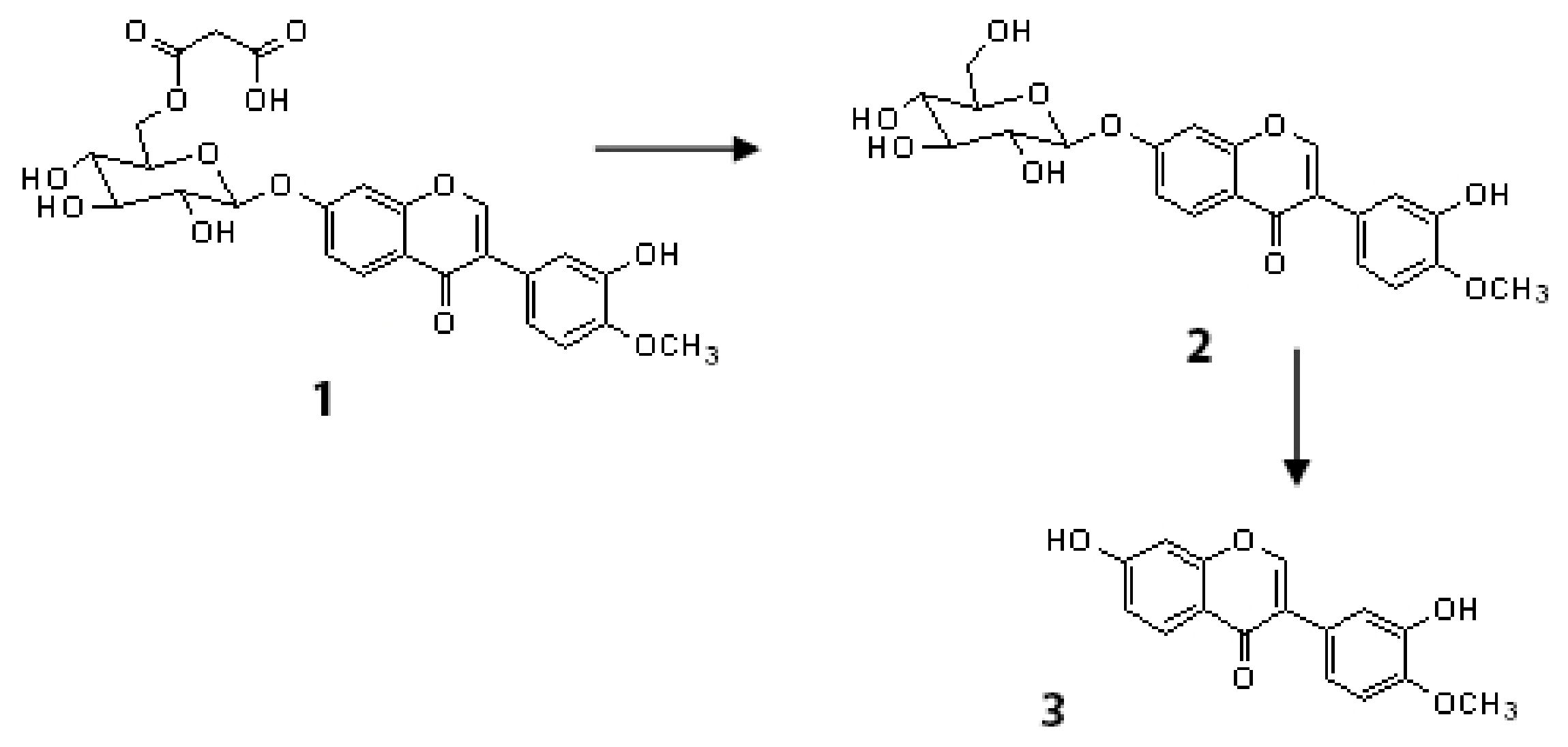 Horticulturae 09 01188 g004