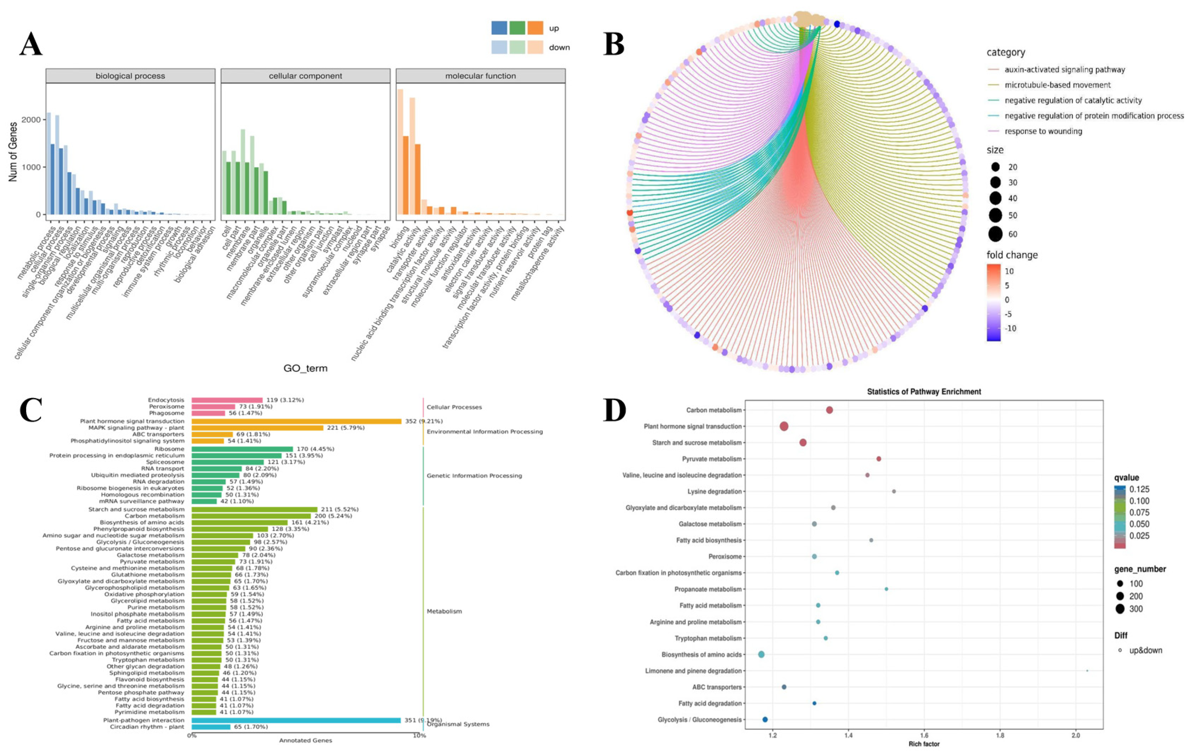 Horticulturae 09 01199 g005