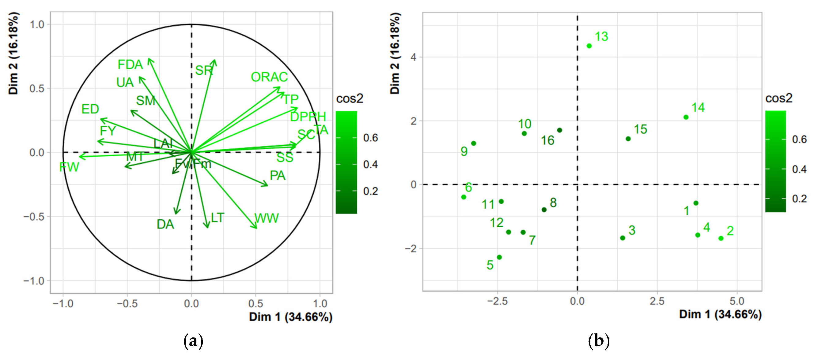 Horticulturae 09 01202 g008