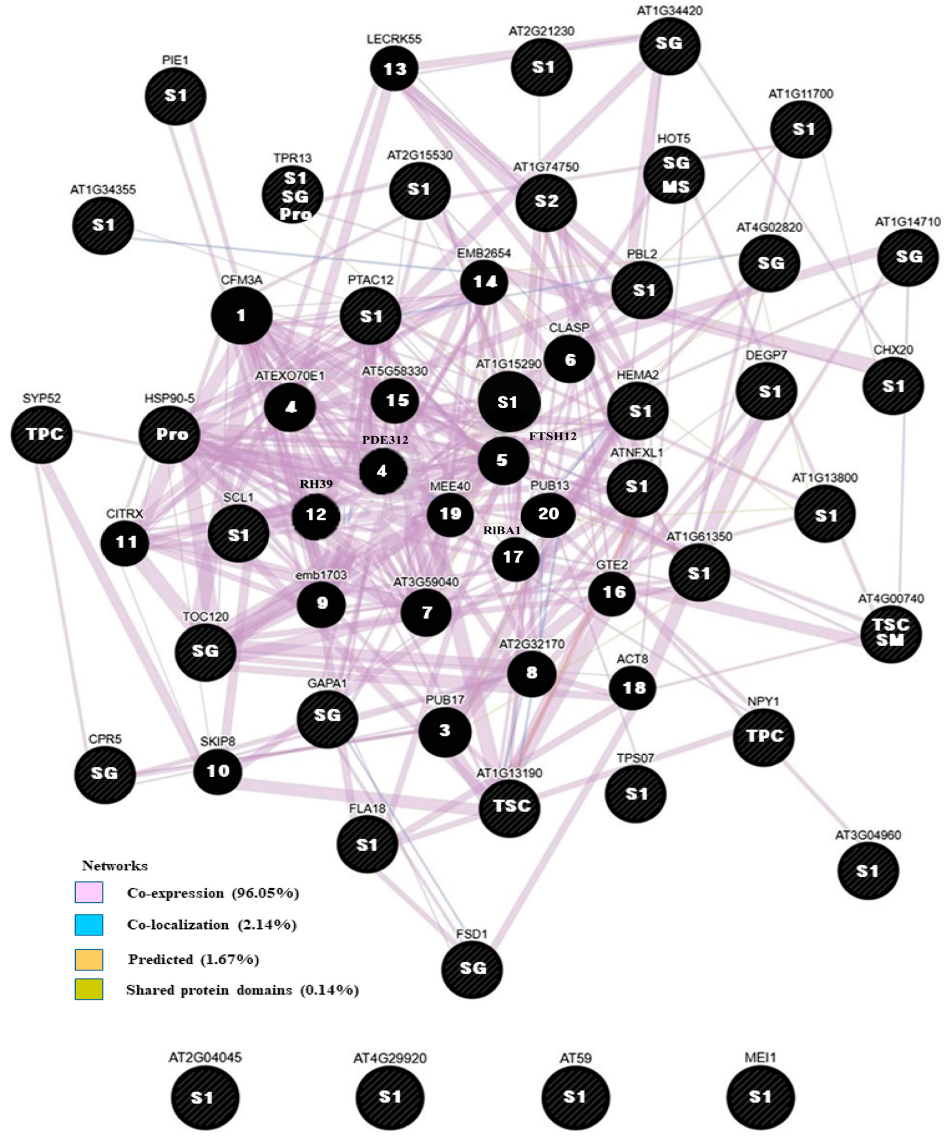 Horticulturae 09 01204 g006 Horticulturae 09 01204 g006