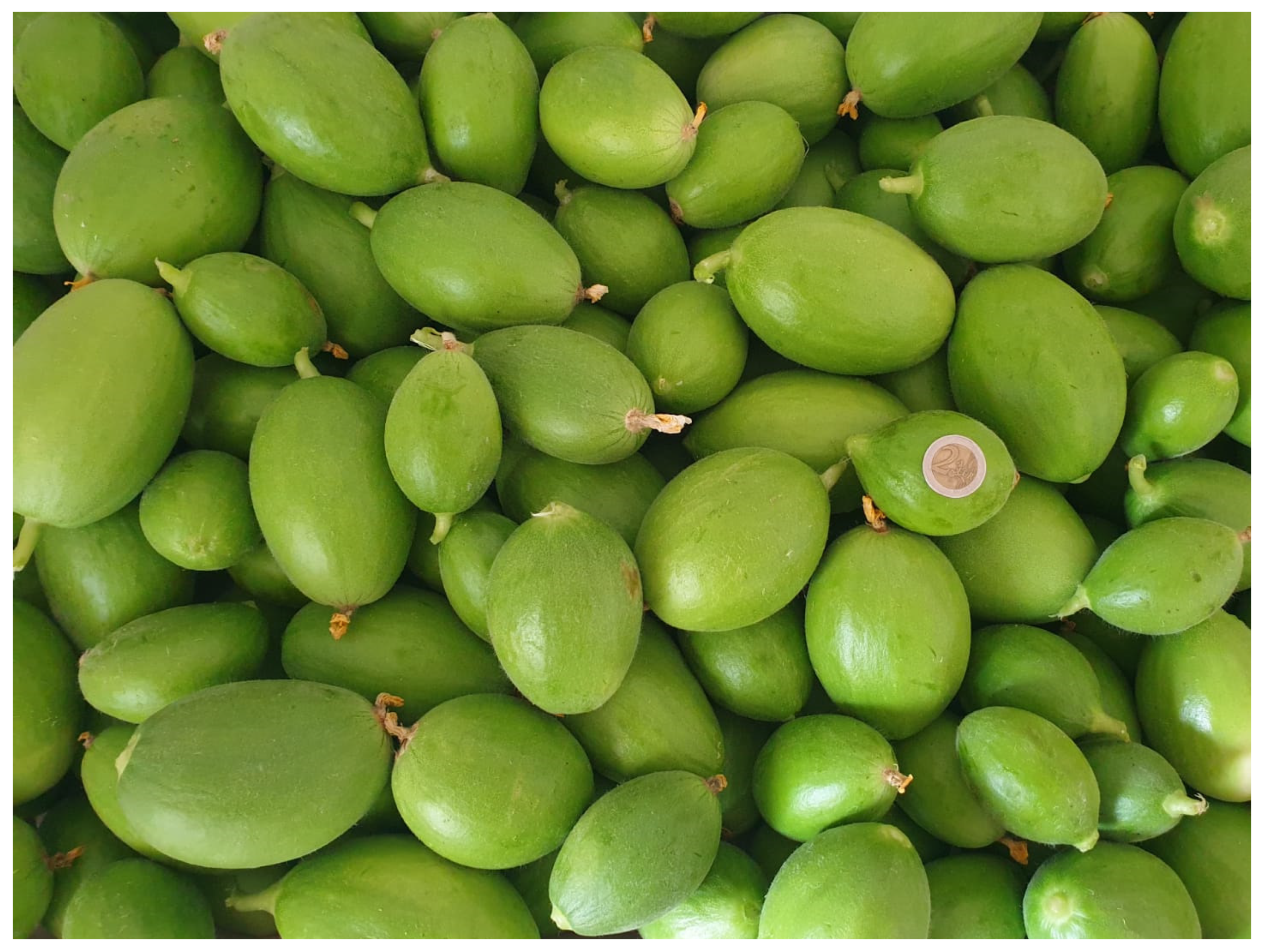 Horticulturae 09 01206 g002