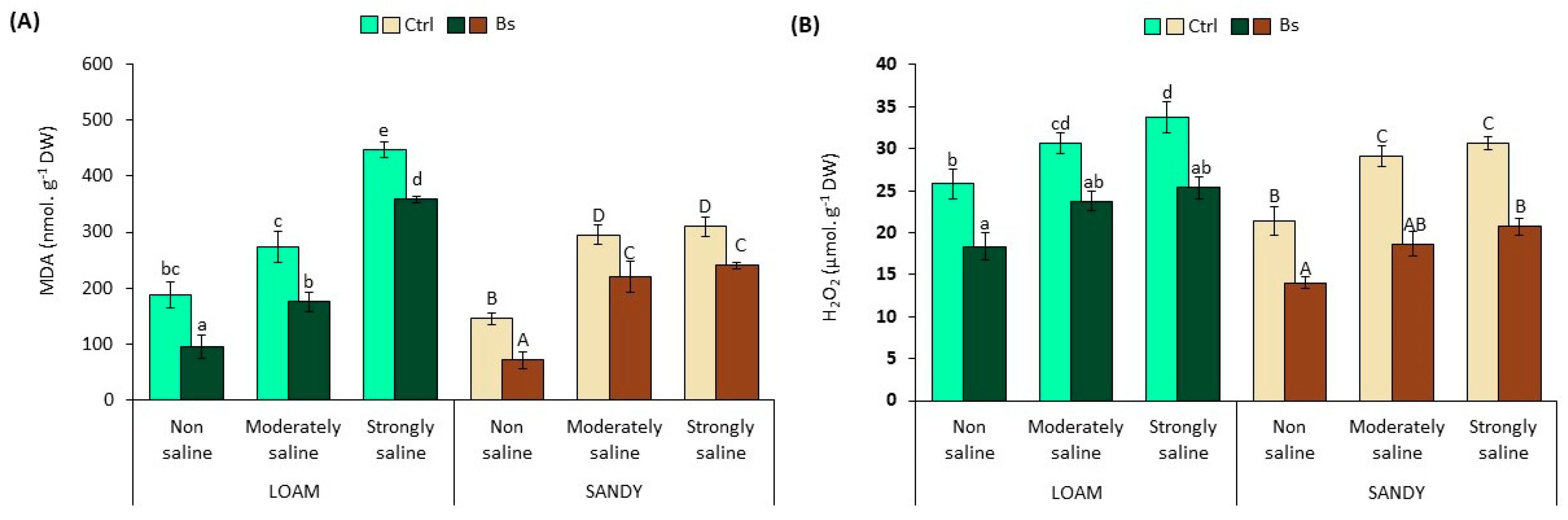Horticulturae 09 01209 g006