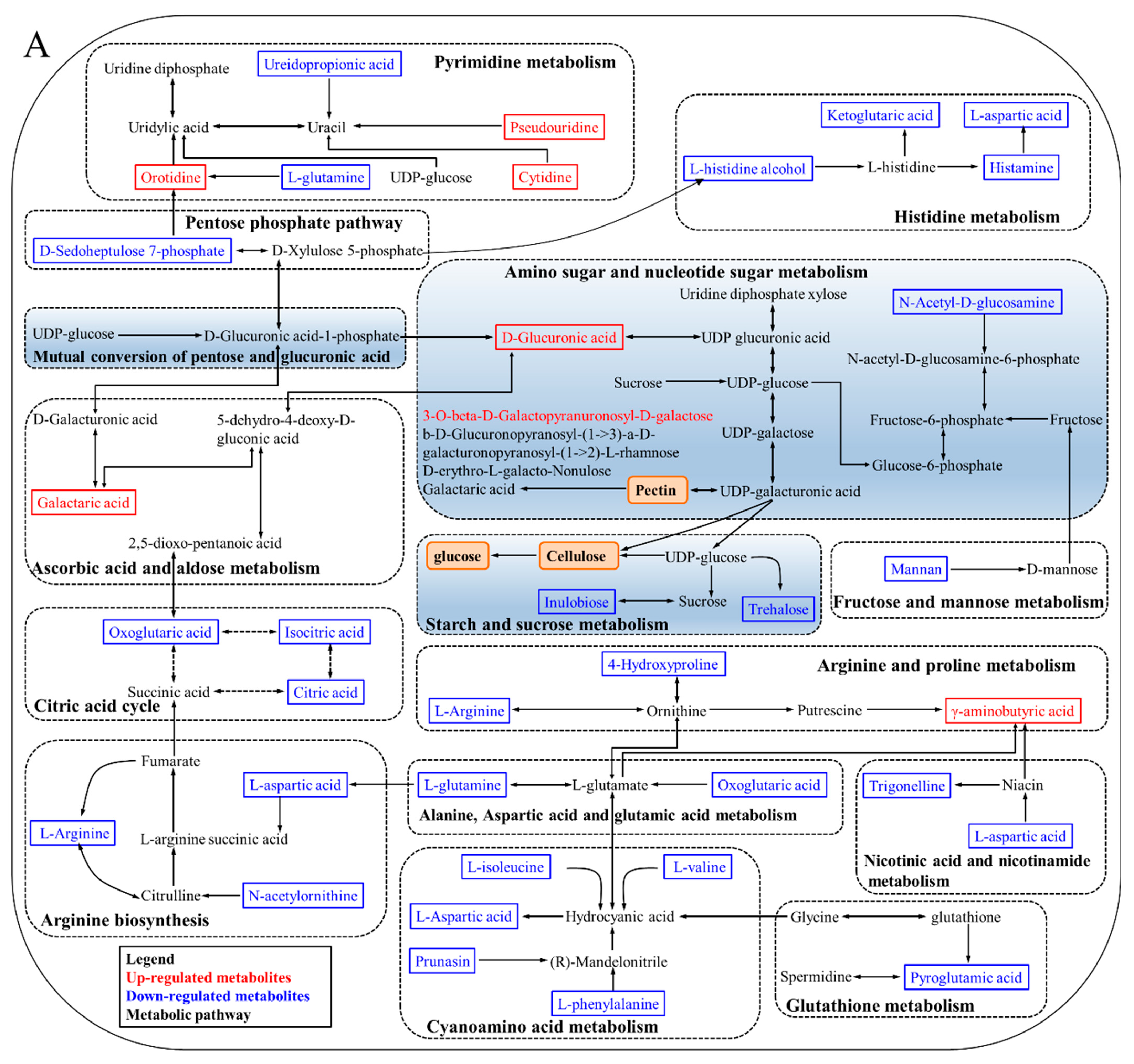 Horticulturae 09 01210 g007a