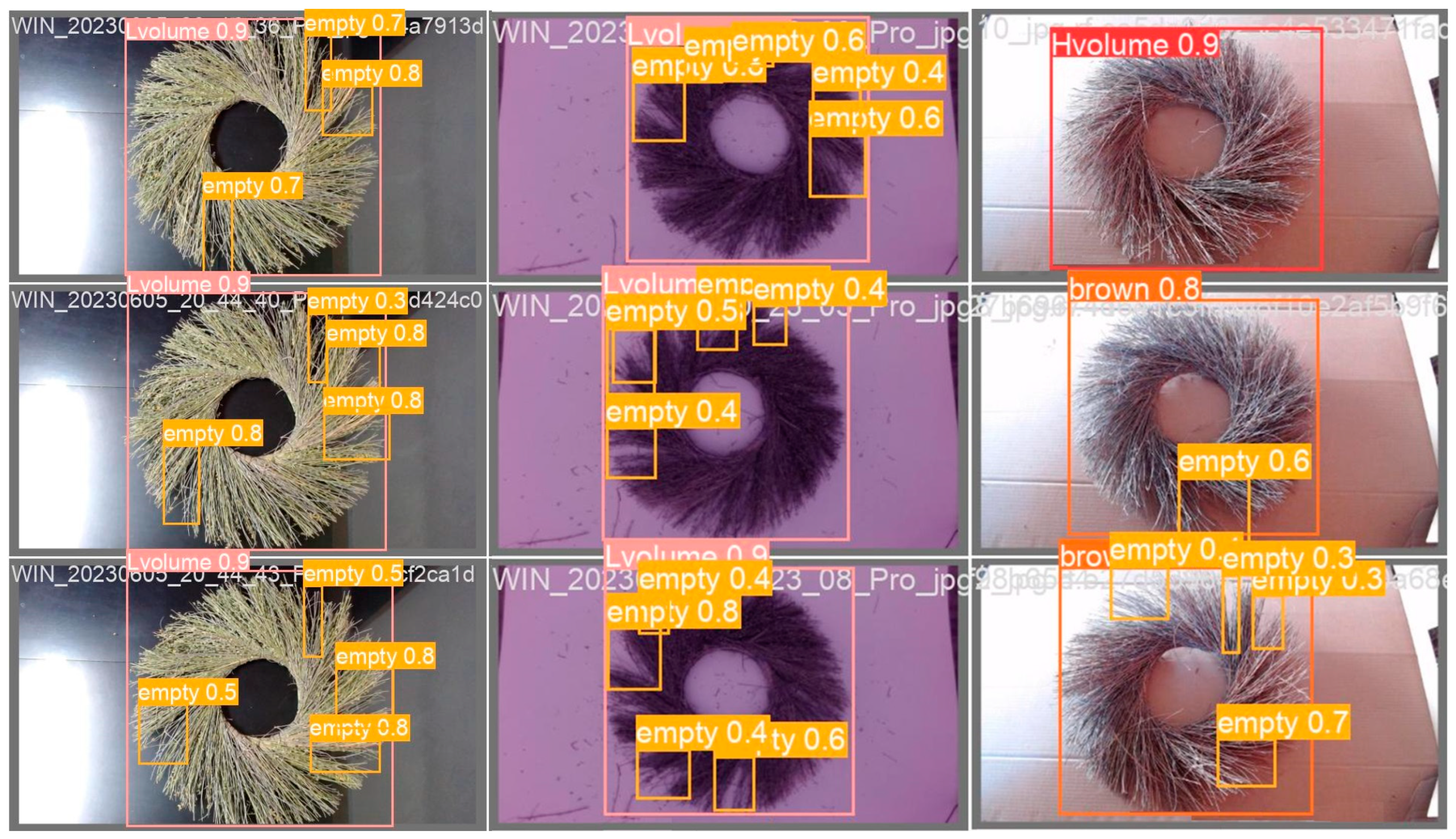 Horticulturae 09 01213 g002