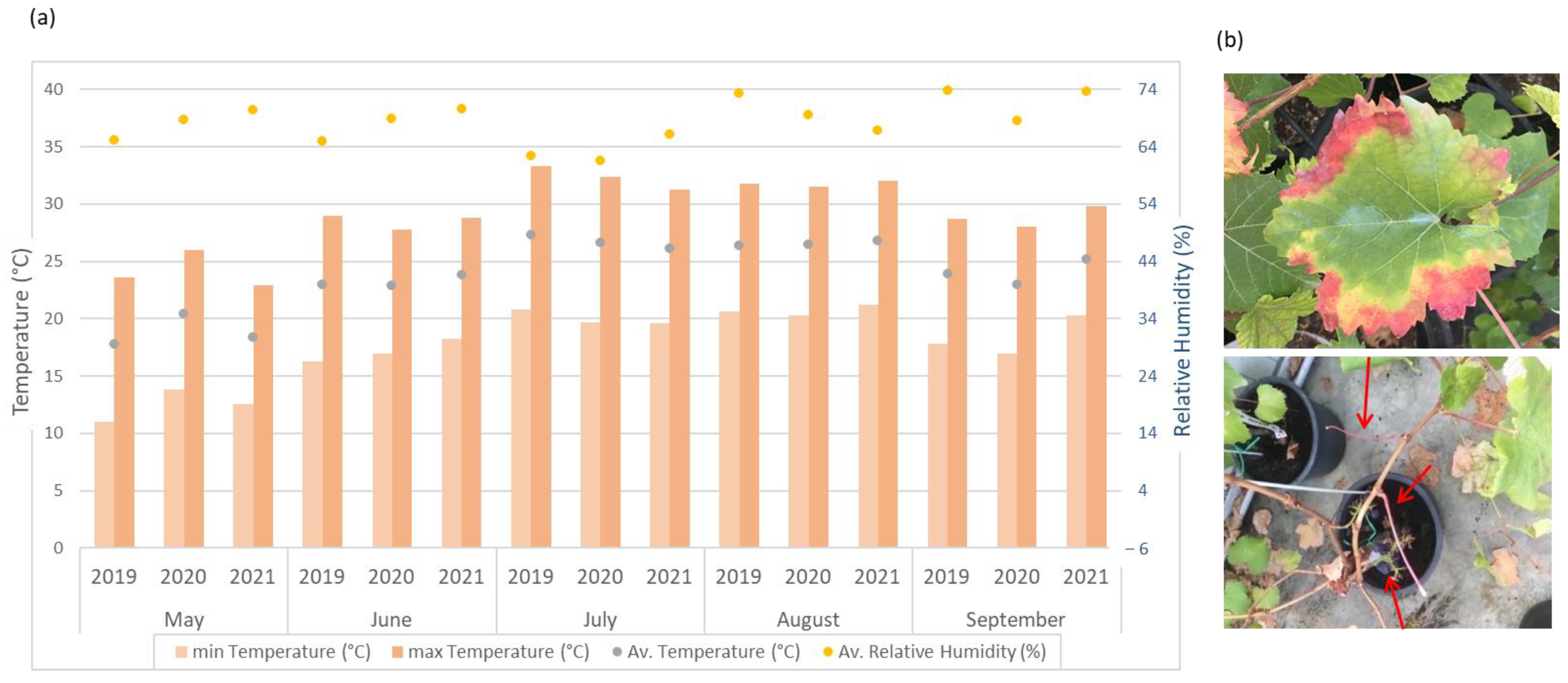 Horticulturae 09 01224 g001 Horticulturae 09 01224 g001