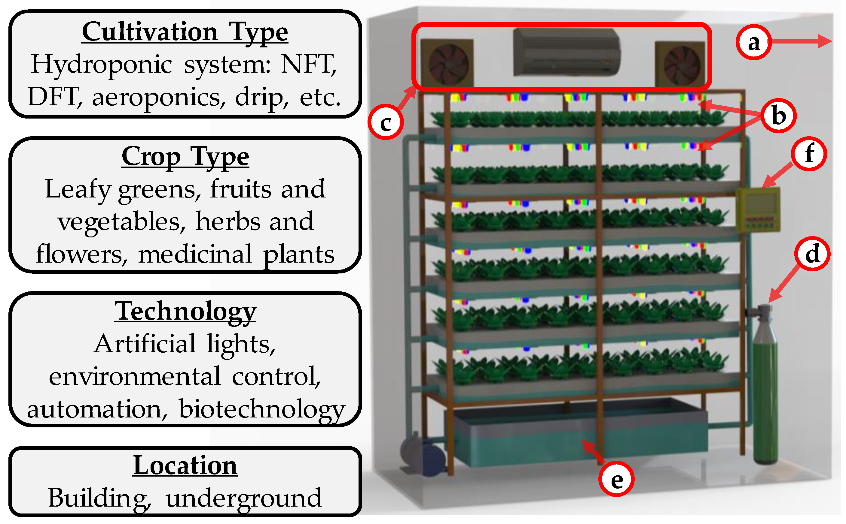 Horticulturae 09 01229 g003
