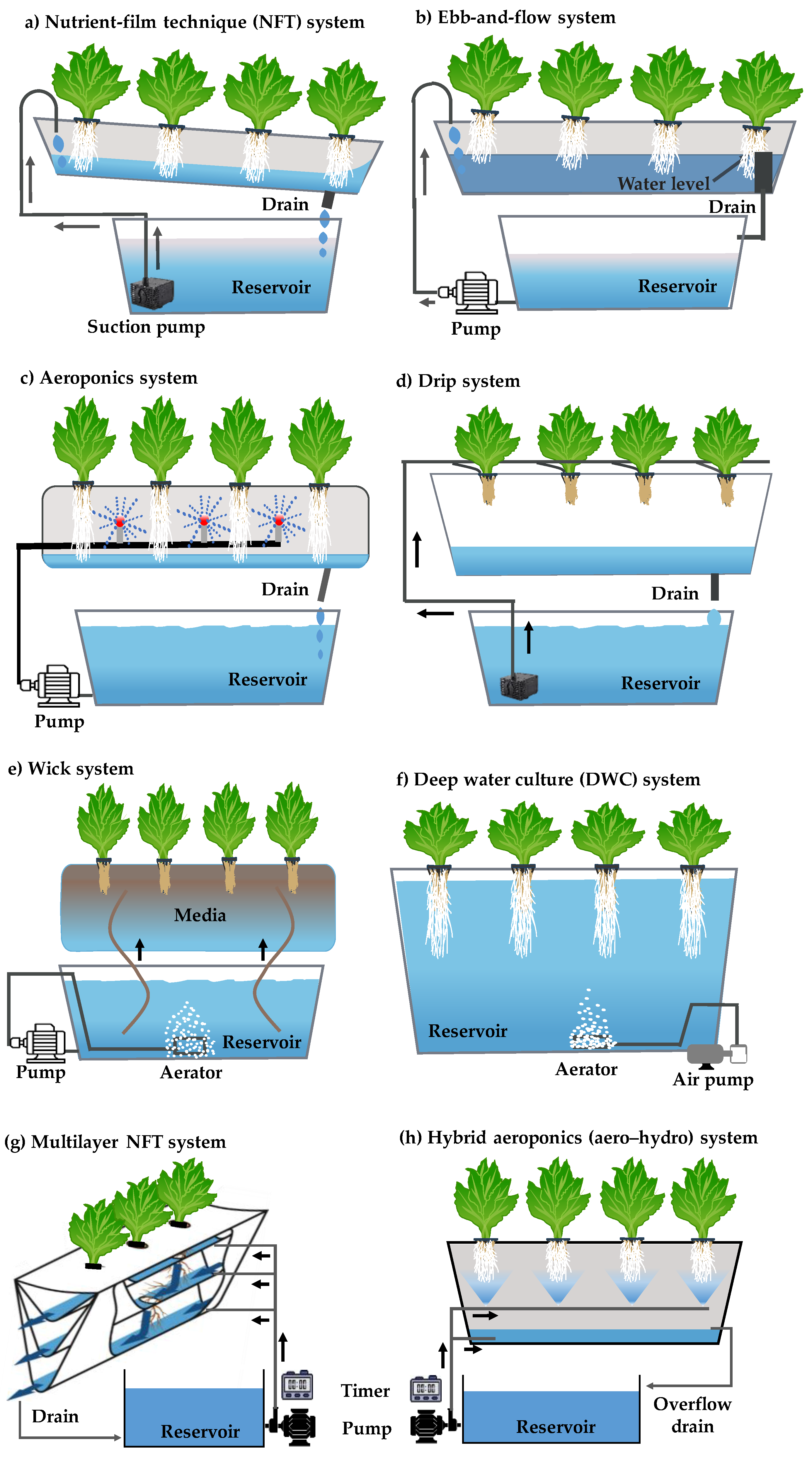 Horticulturae 09 01229 g004