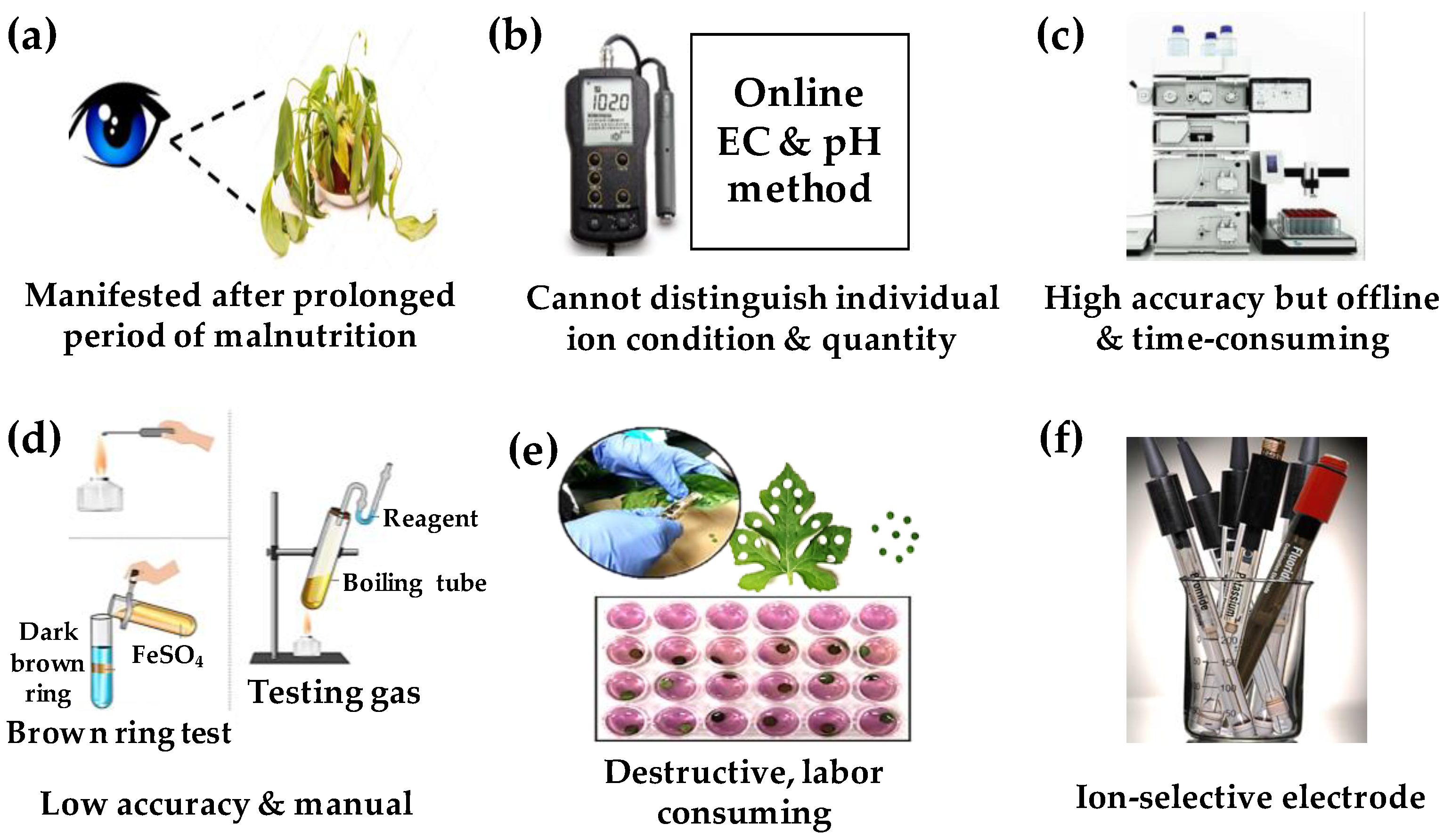 Horticulturae 09 01229 g005