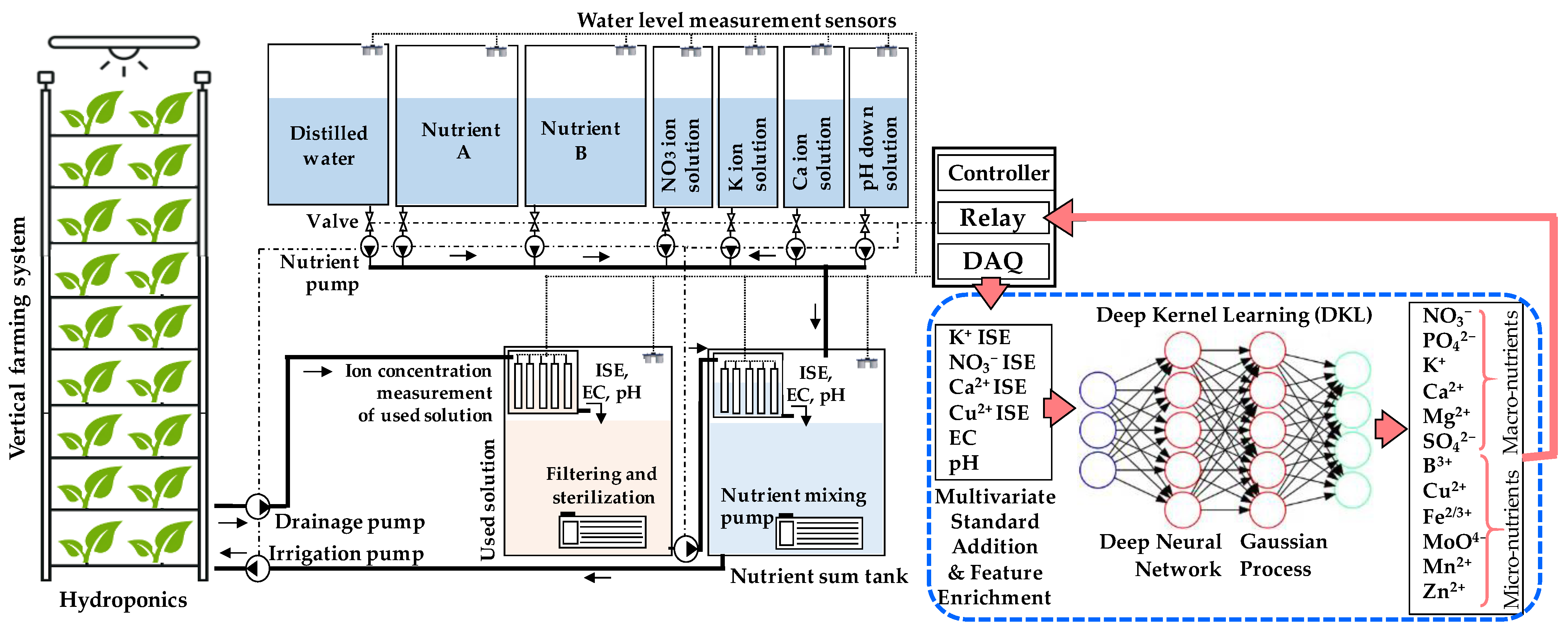 Horticulturae 09 01229 g006