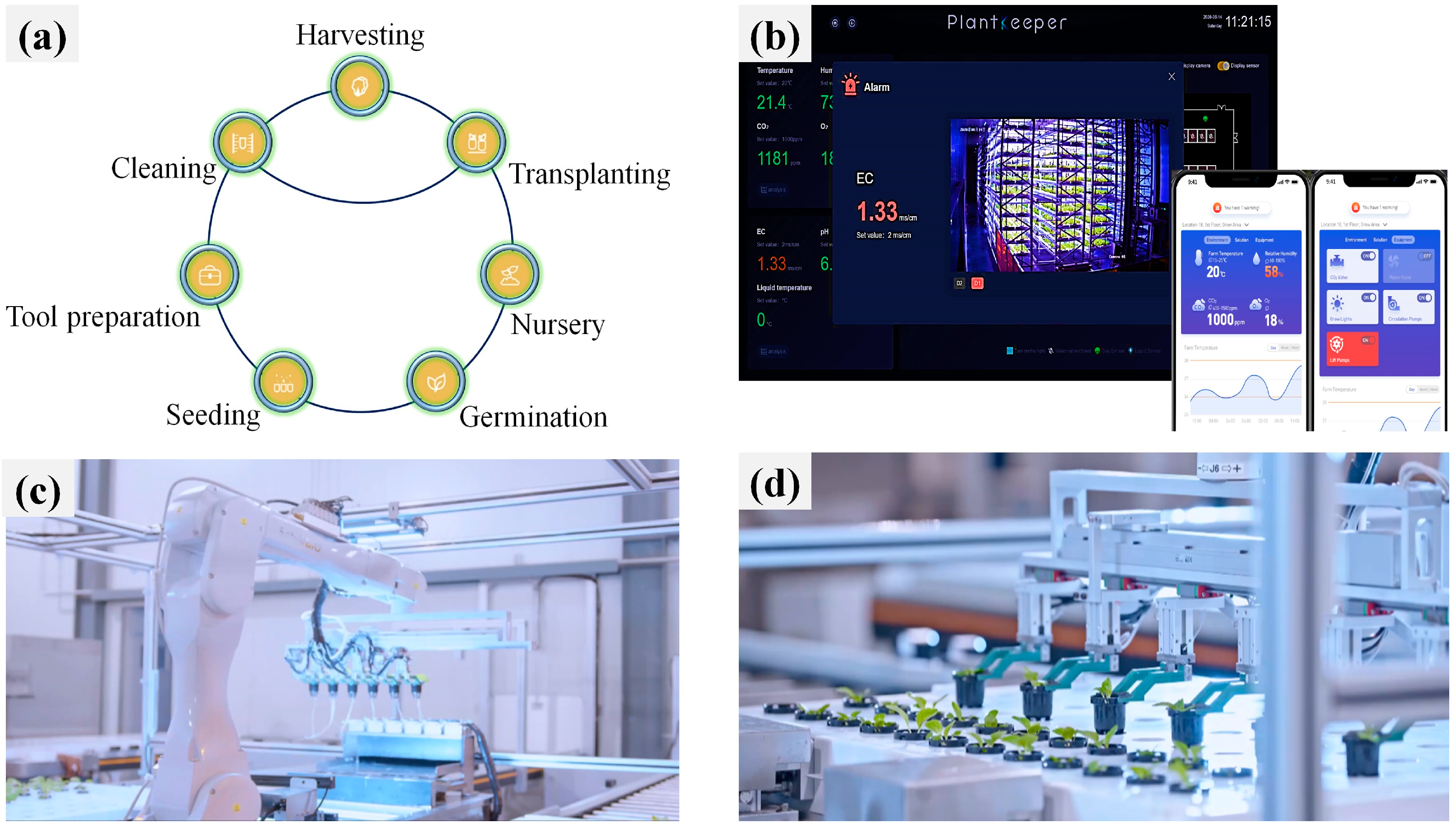 Horticulturae 09 01229 g008