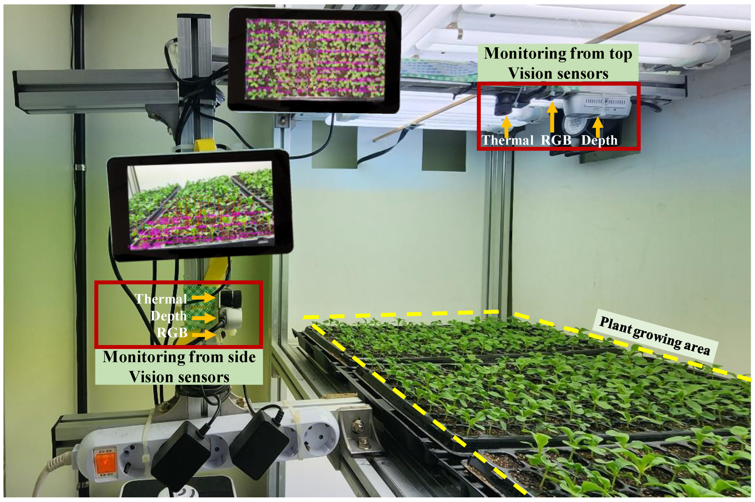 Horticulturae 09 01229 g011