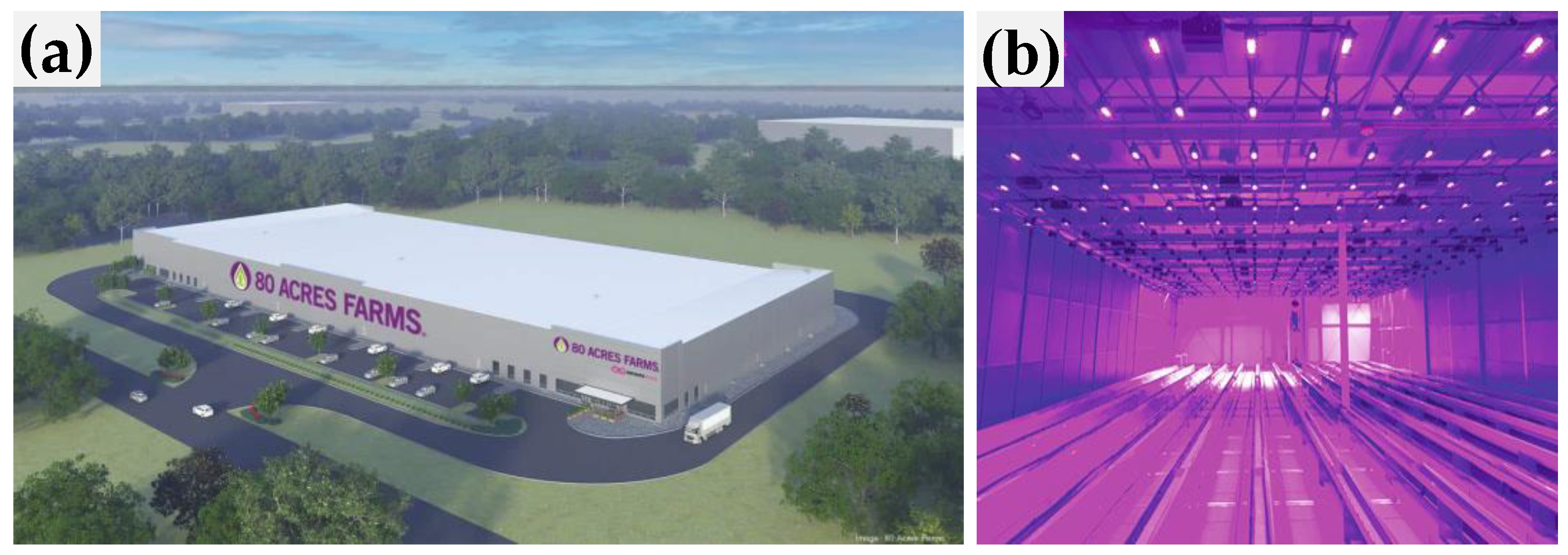 Horticulturae 09 01229 g012