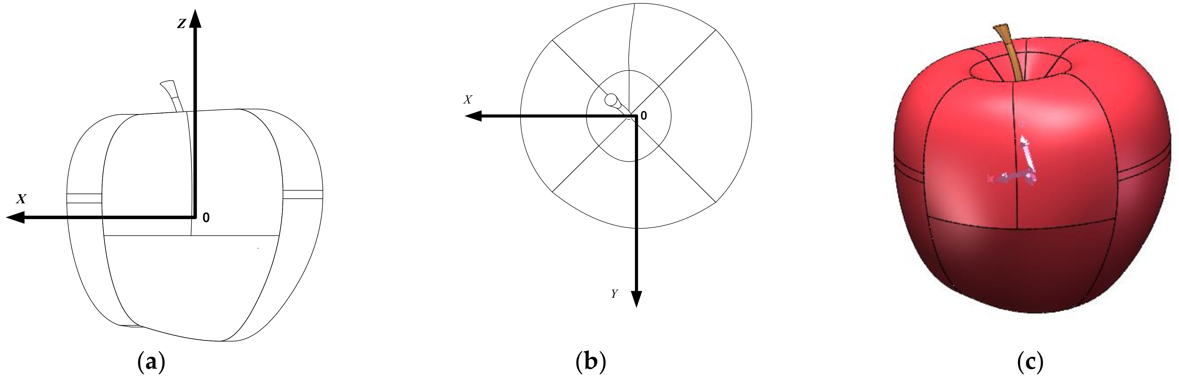 Horticulturae 09 01235 g002
