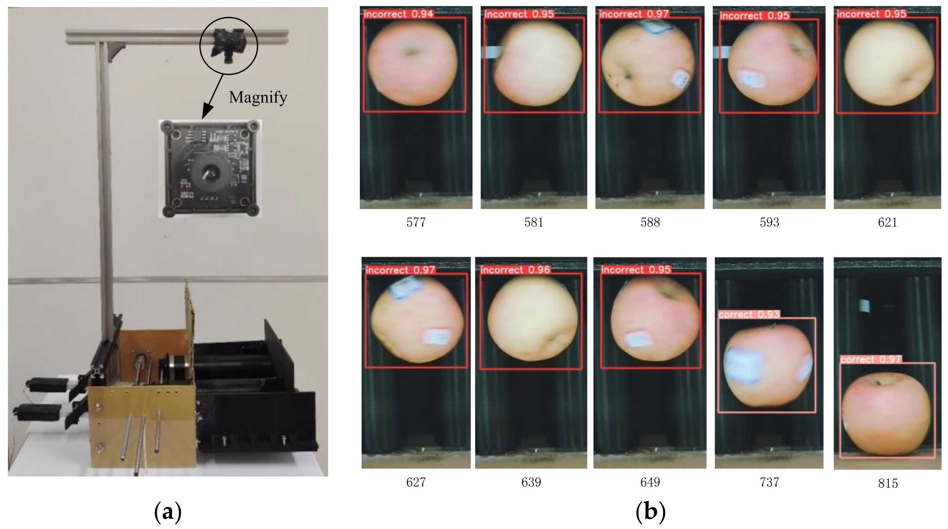 Horticulturae 09 01235 g005