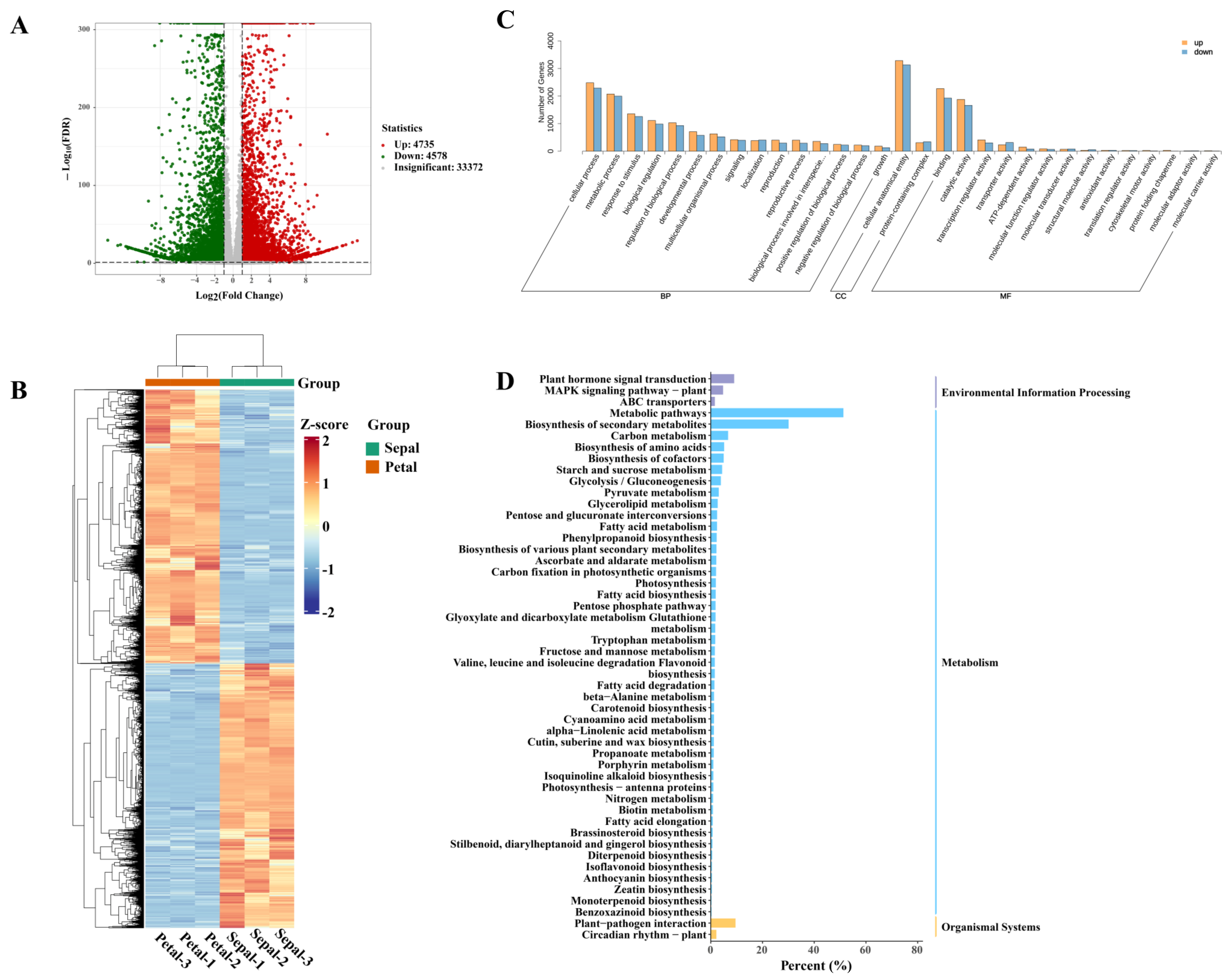 Horticulturae 09 01236 g004