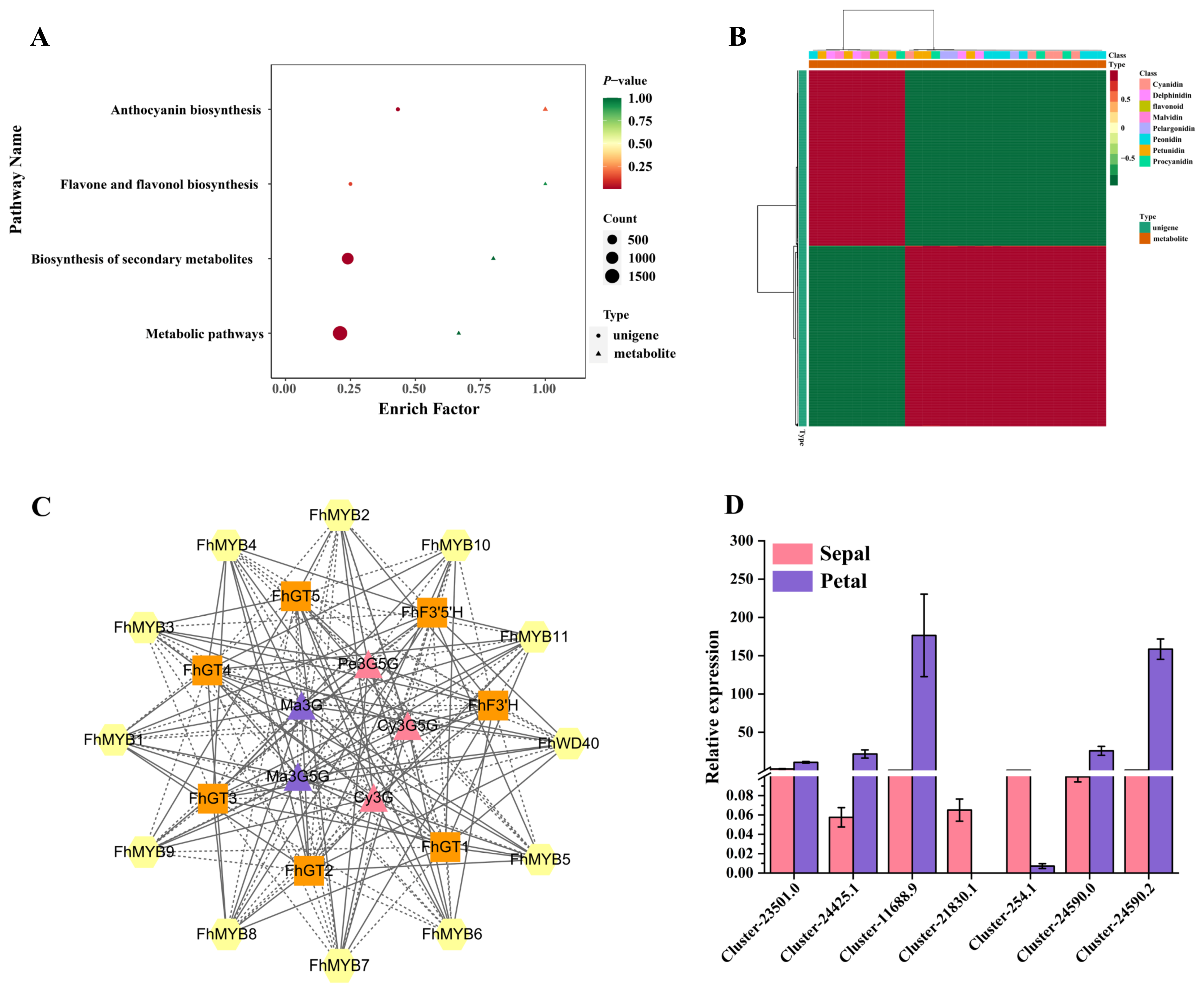 Horticulturae 09 01236 g005