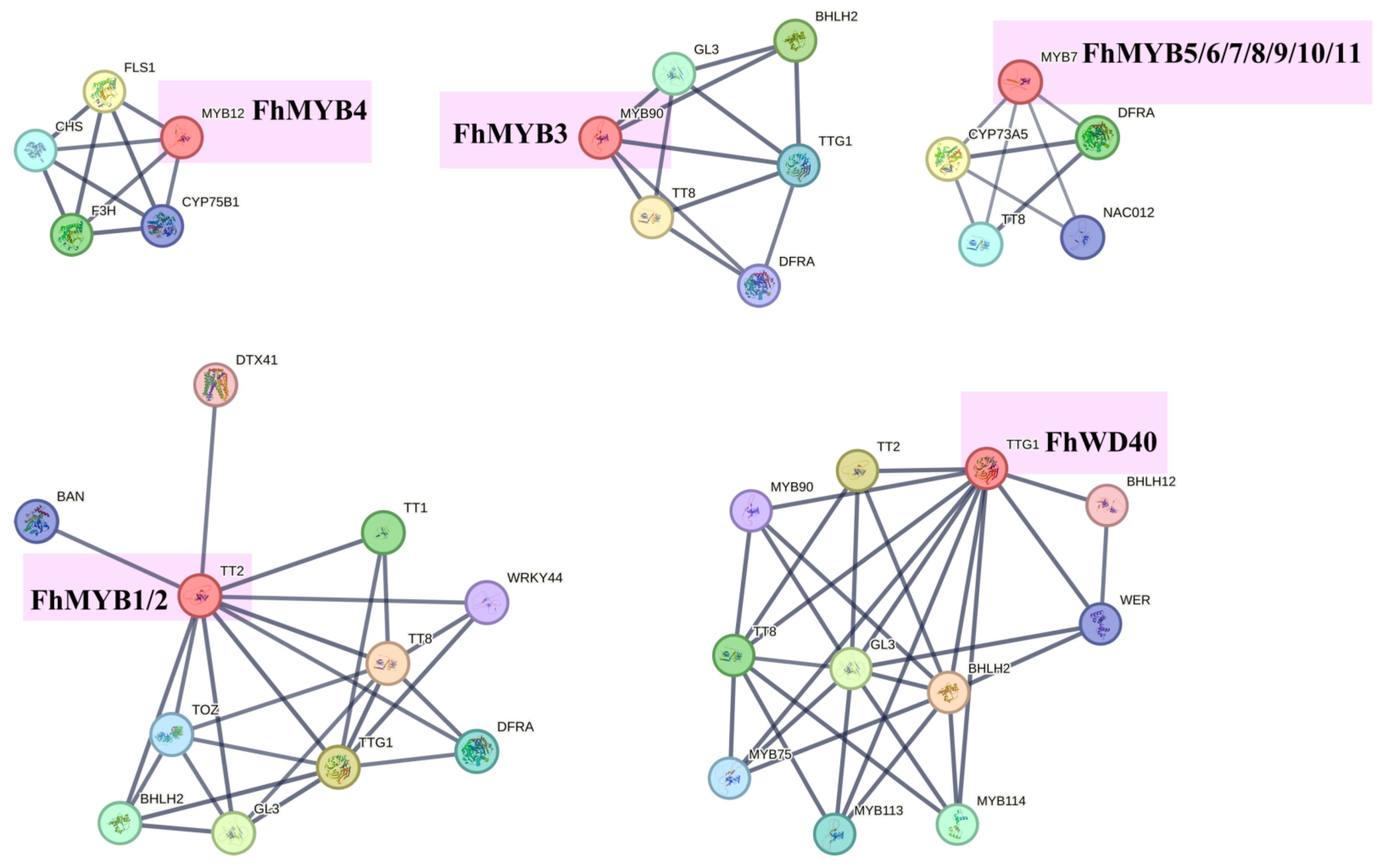 Horticulturae 09 01236 g006