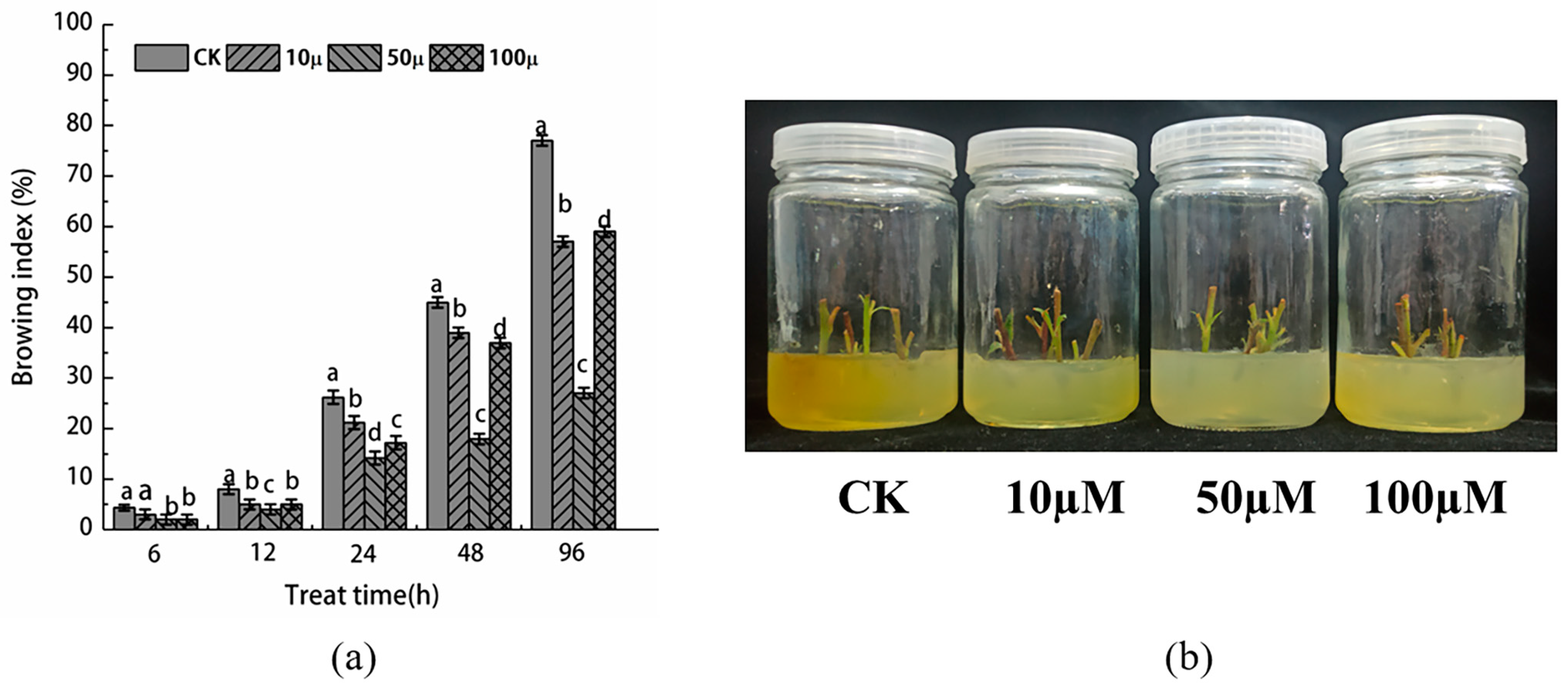 Horticulturae 09 01246 g001