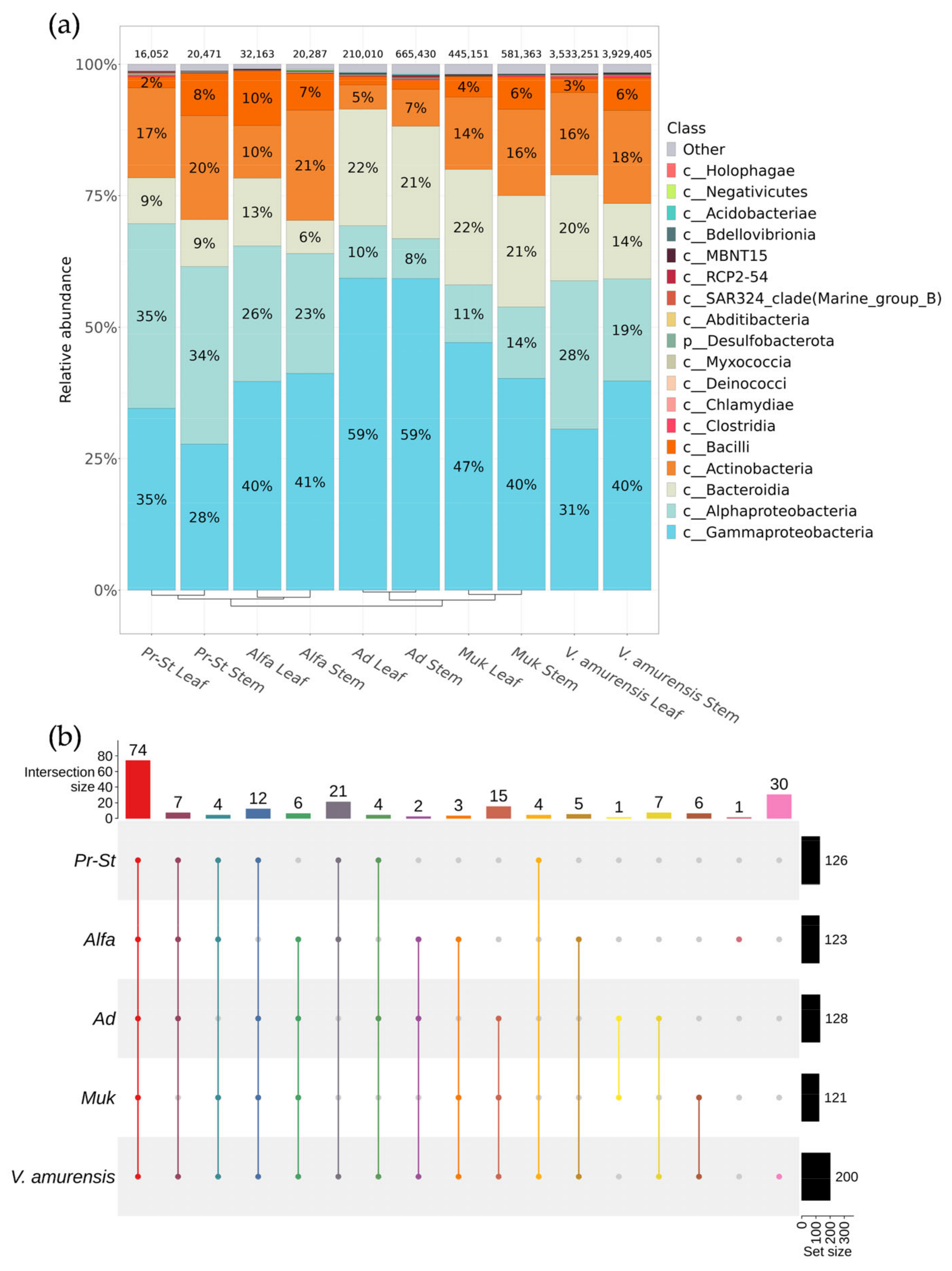 Horticulturae 09 01257 g001