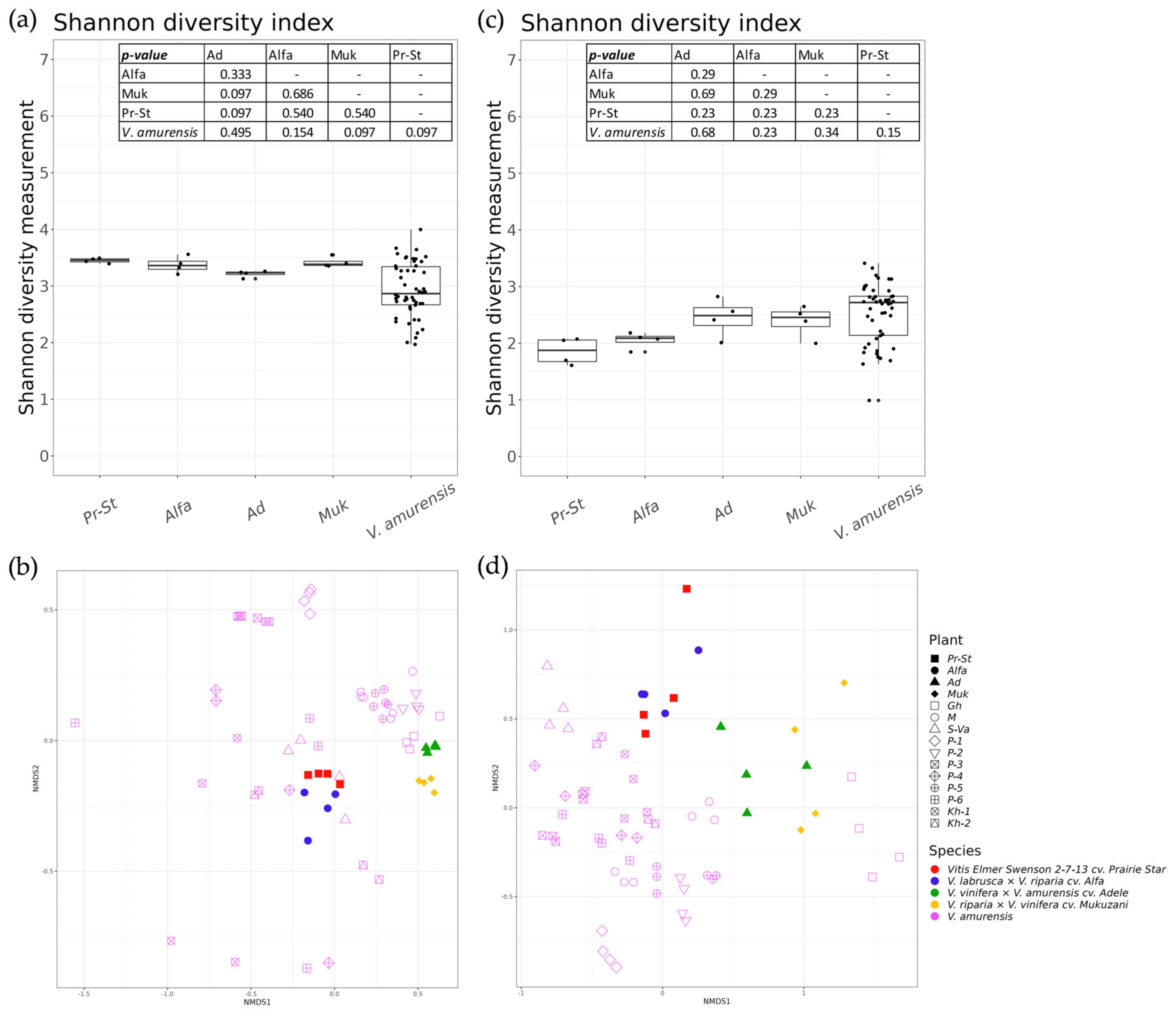 Horticulturae 09 01257 g005