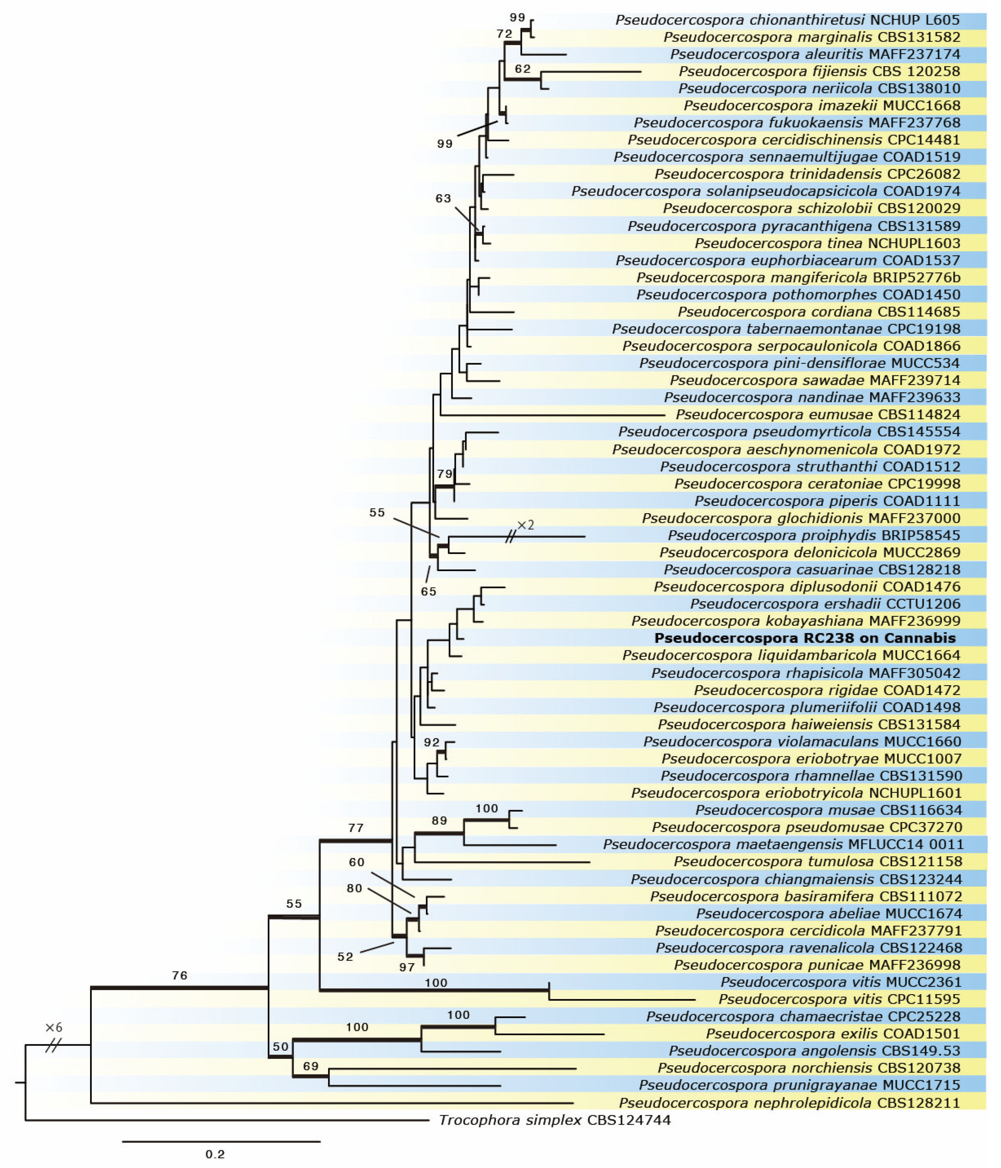 Horticulturae 09 01261 g003