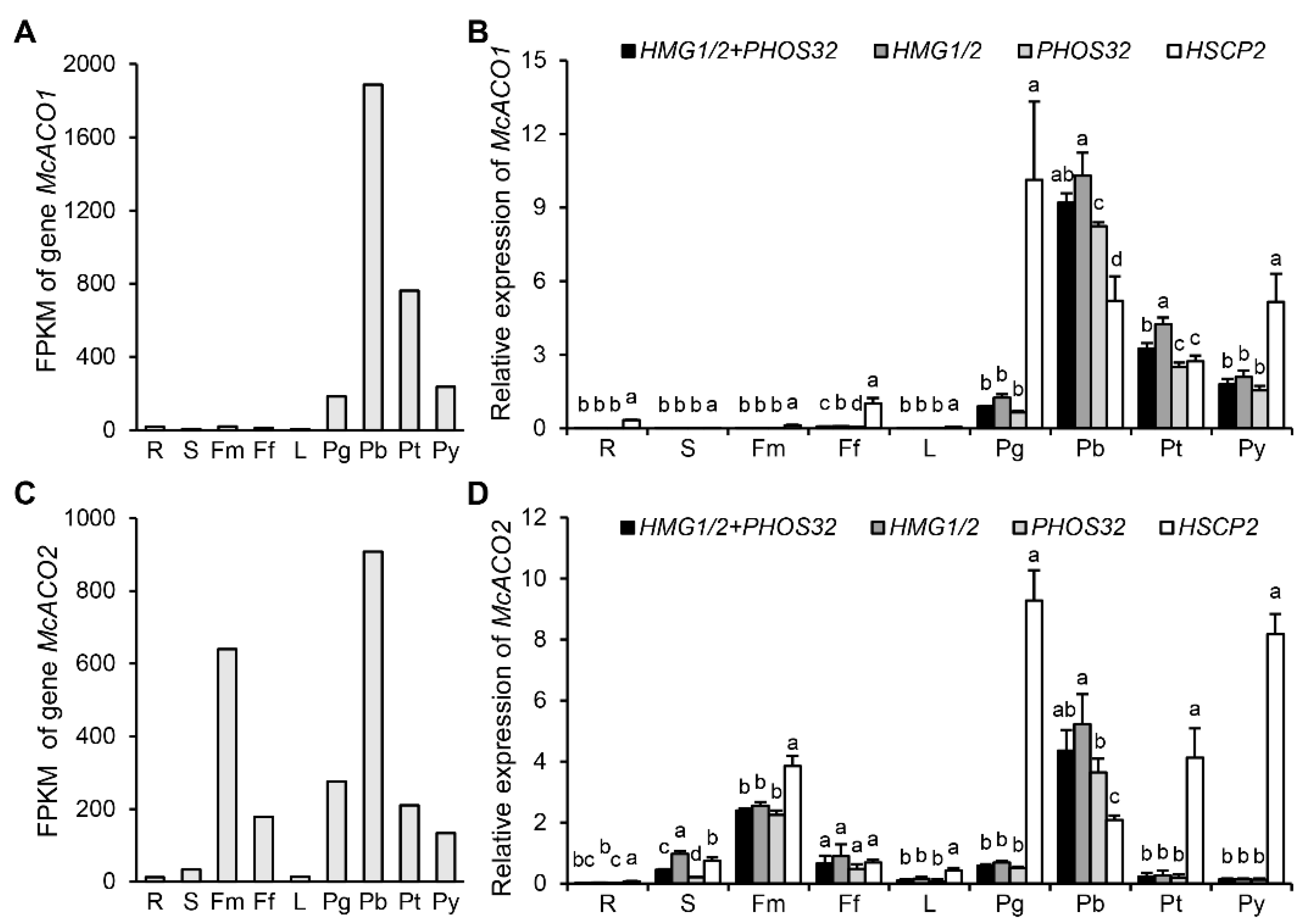 Horticulturae 09 01262 g004