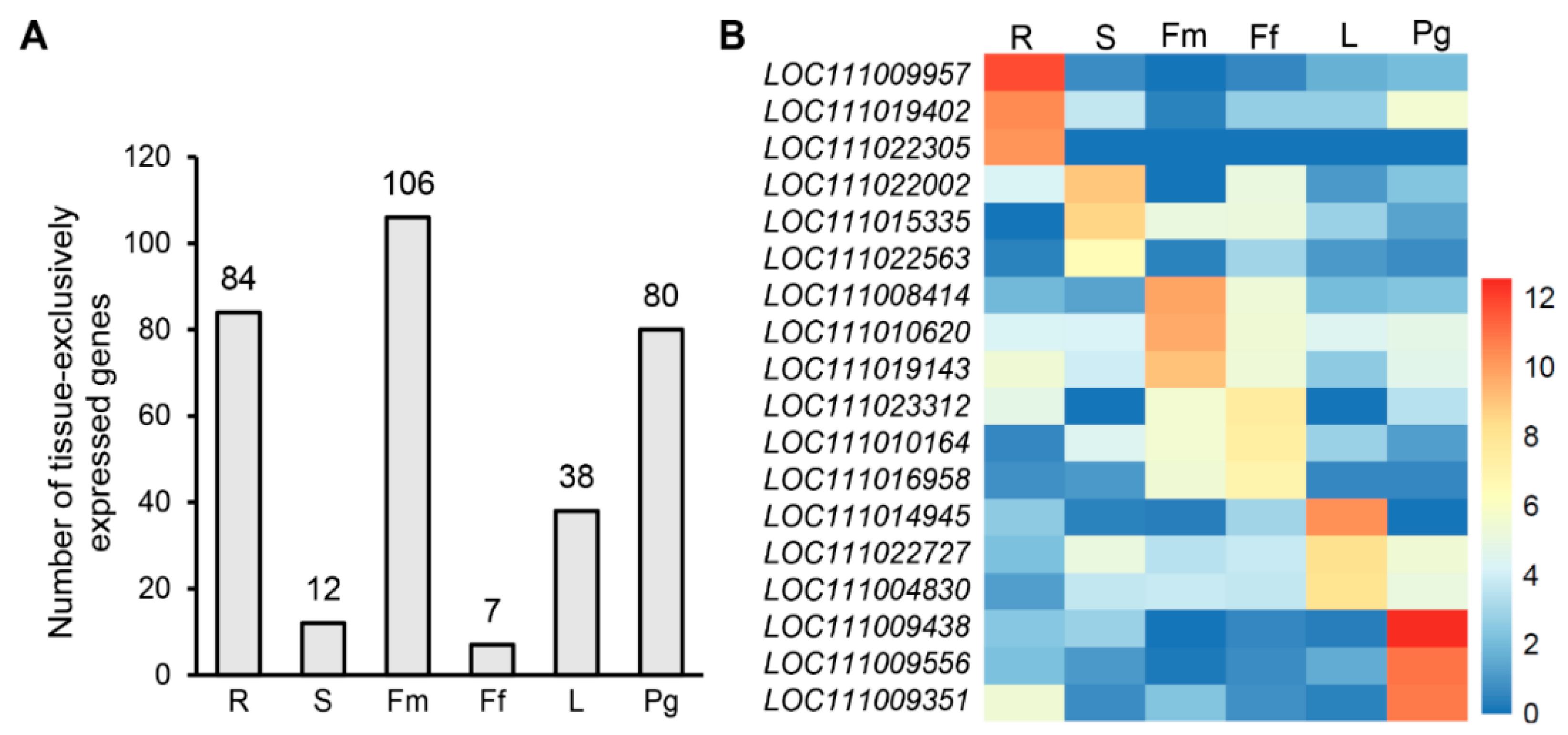 Horticulturae 09 01262 g005