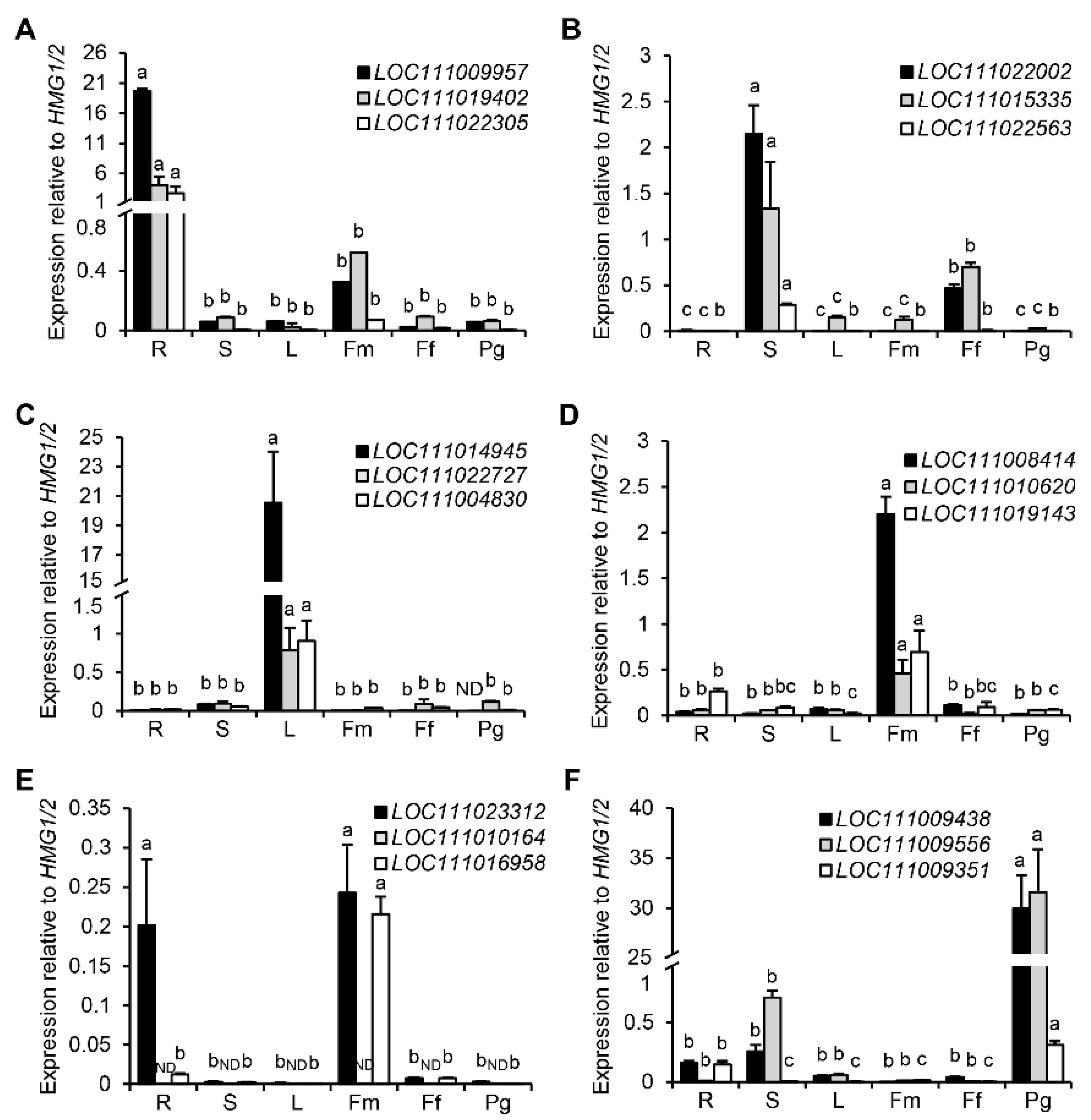 Horticulturae 09 01262 g006