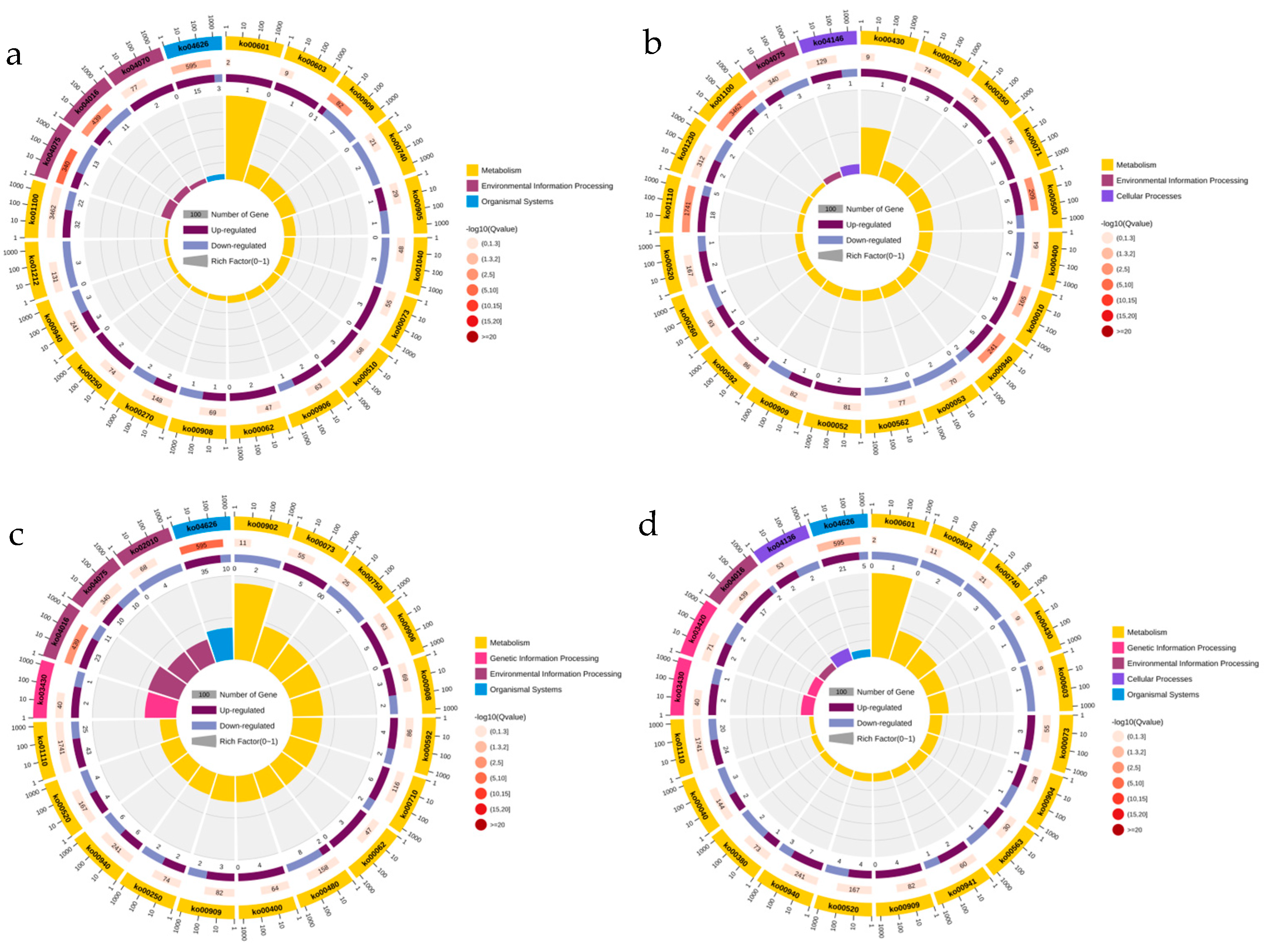 Horticulturae 09 01267 g007