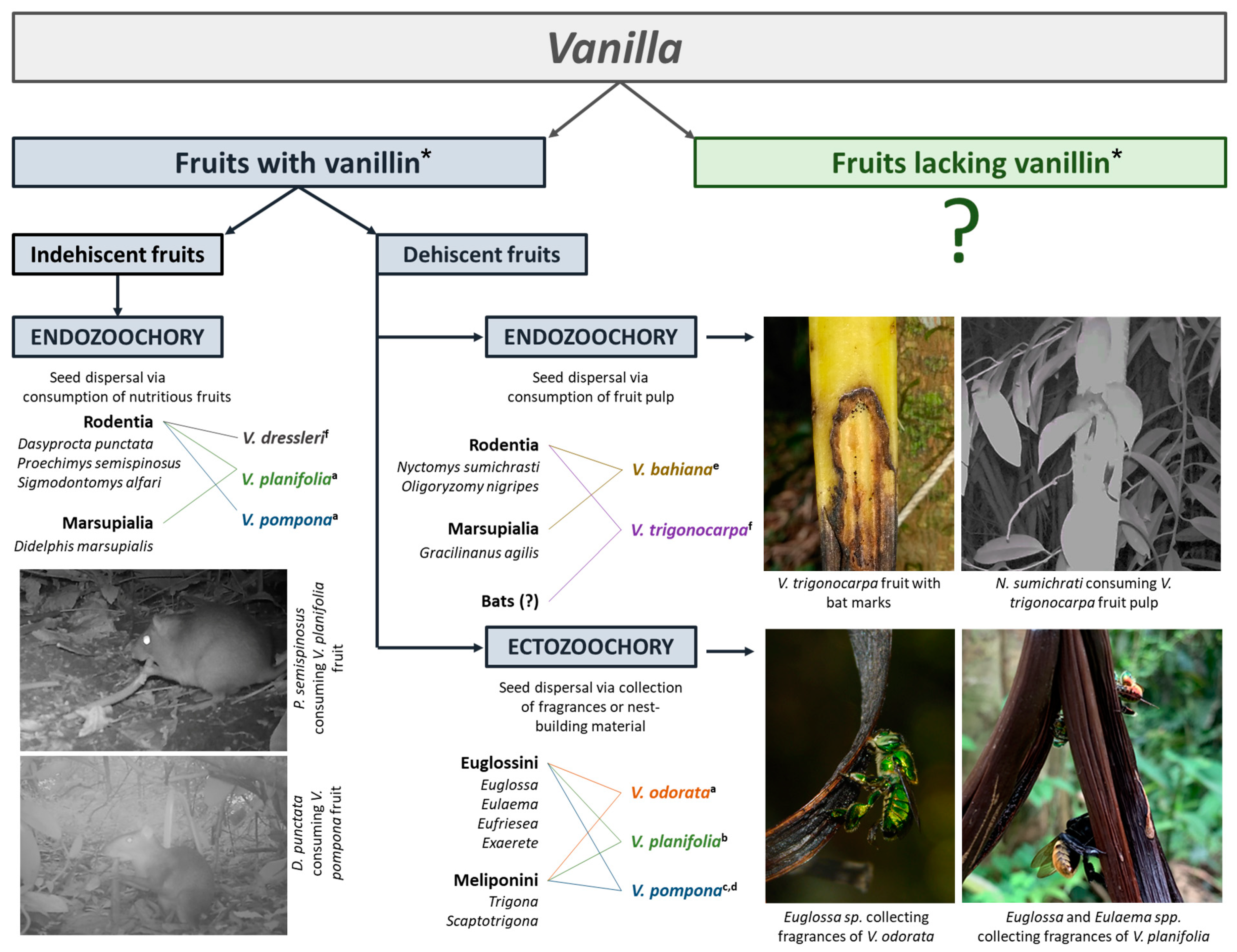 Horticulturae 09 01270 g003 Horticulturae 09 01270 g003