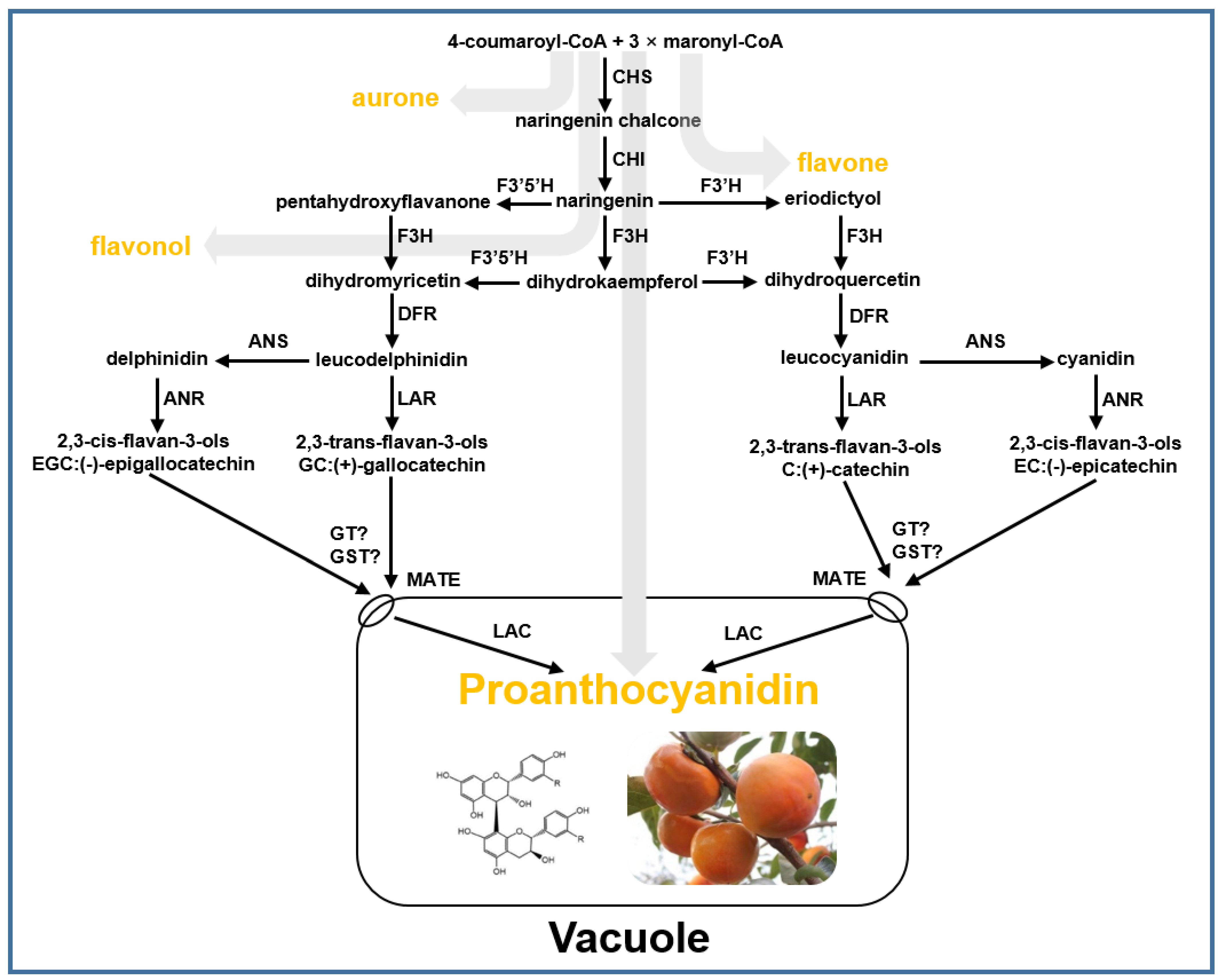 Horticulturae 09 01273 g003