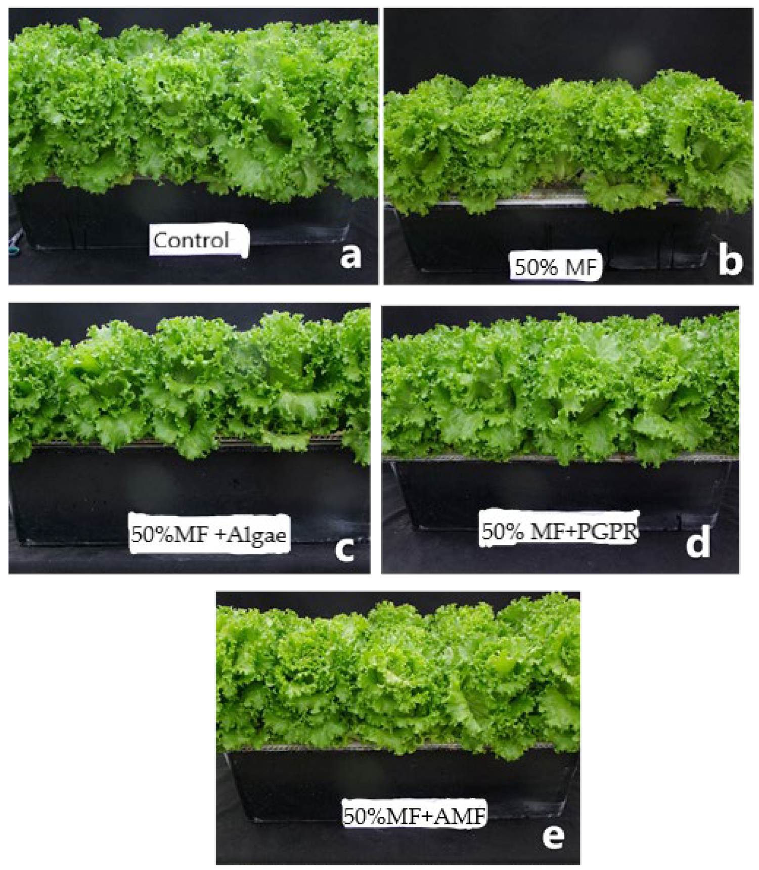 Horticulturae 09 01274 g002