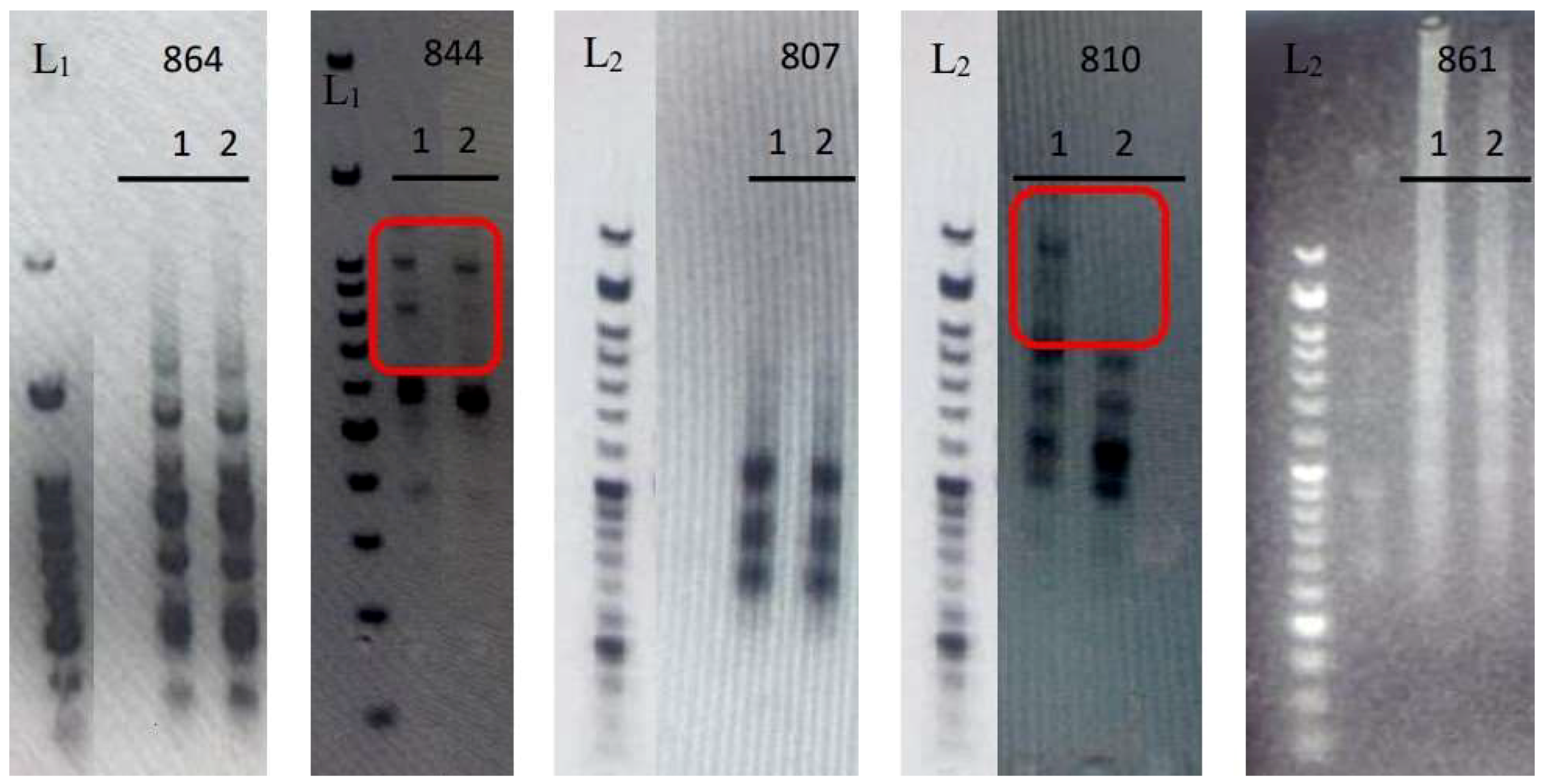 Horticulturae 09 01276 g003