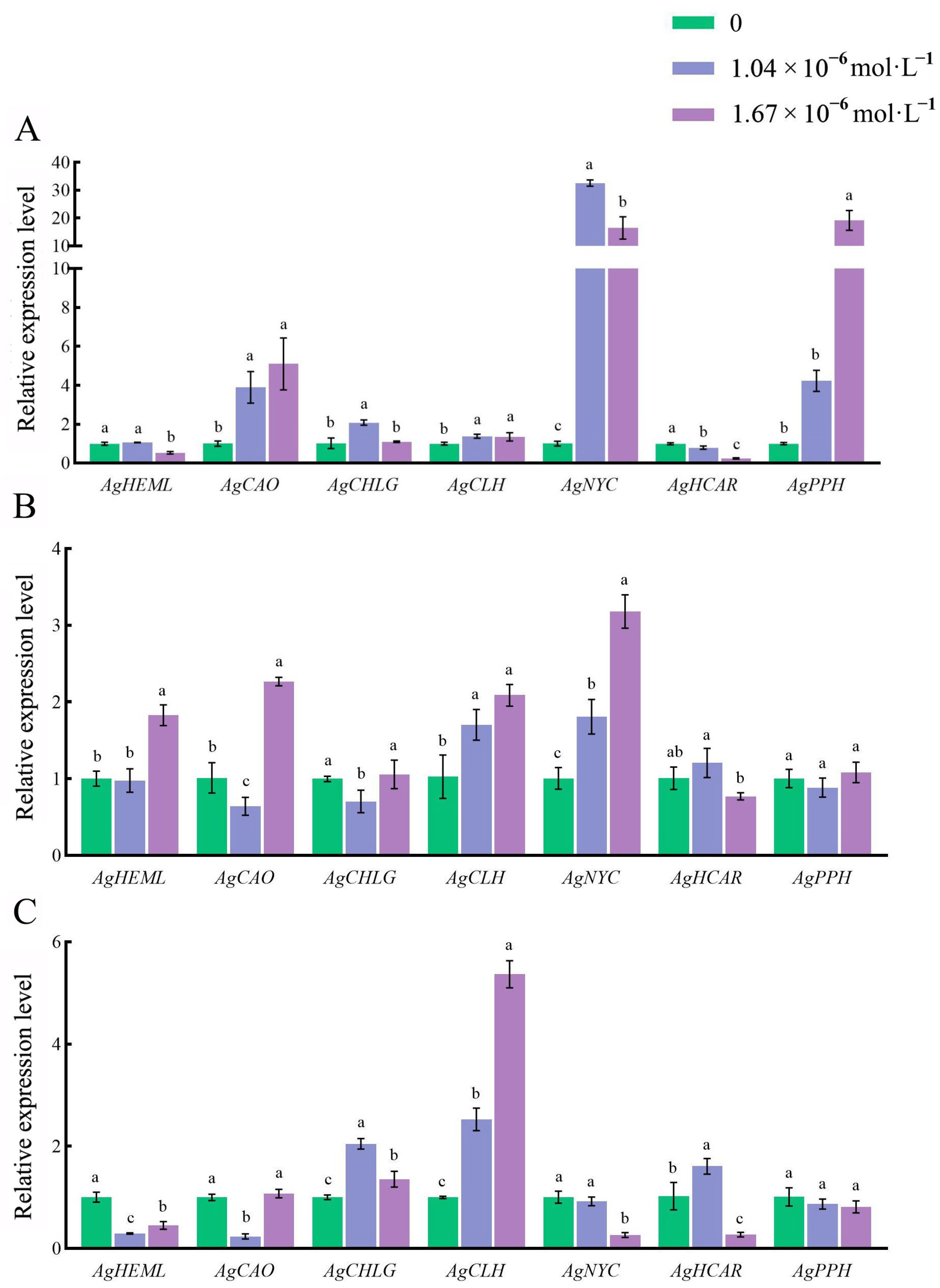 Horticulturae 09 01279 g004