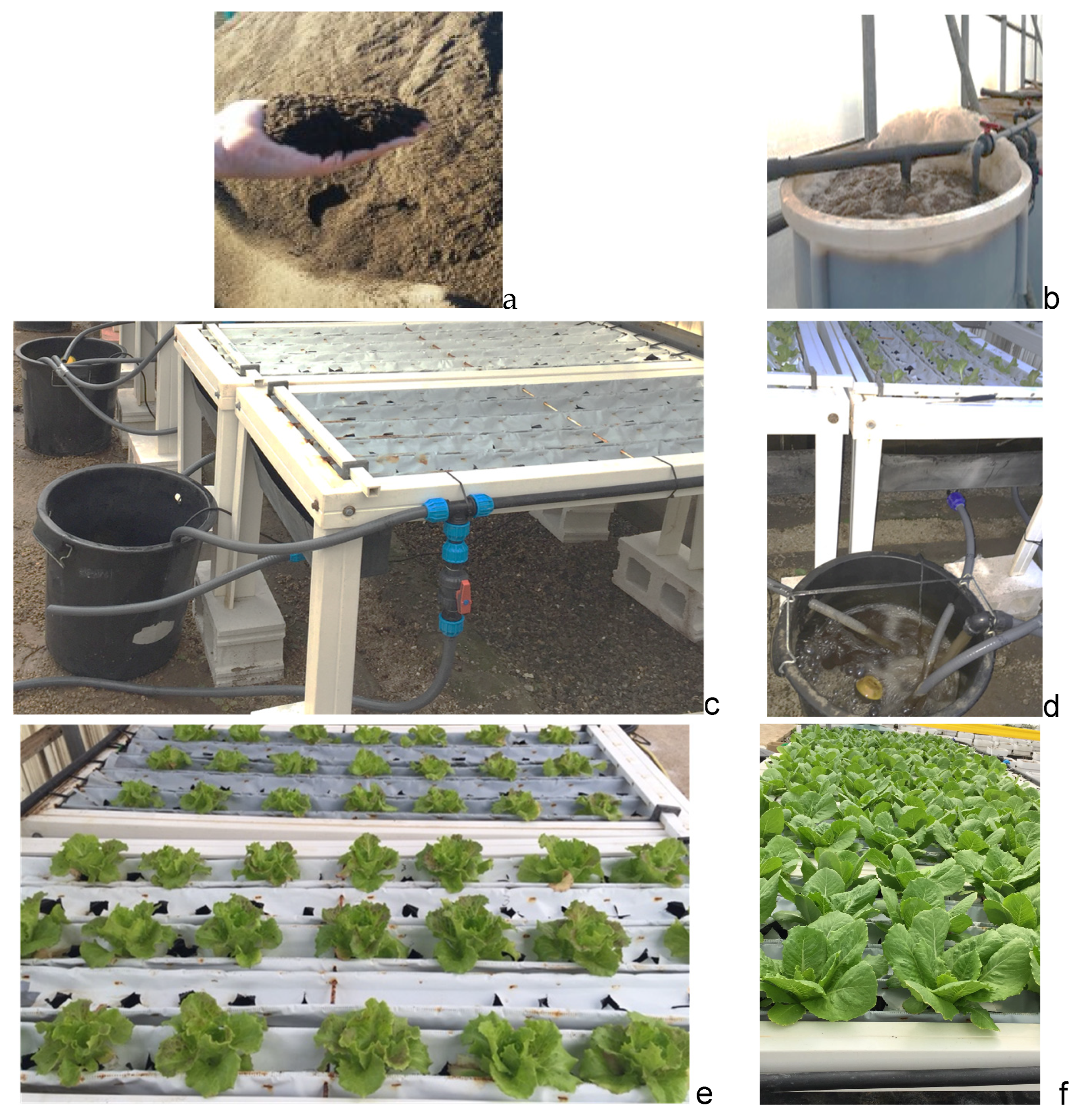 Horticulturae 09 01281 g002