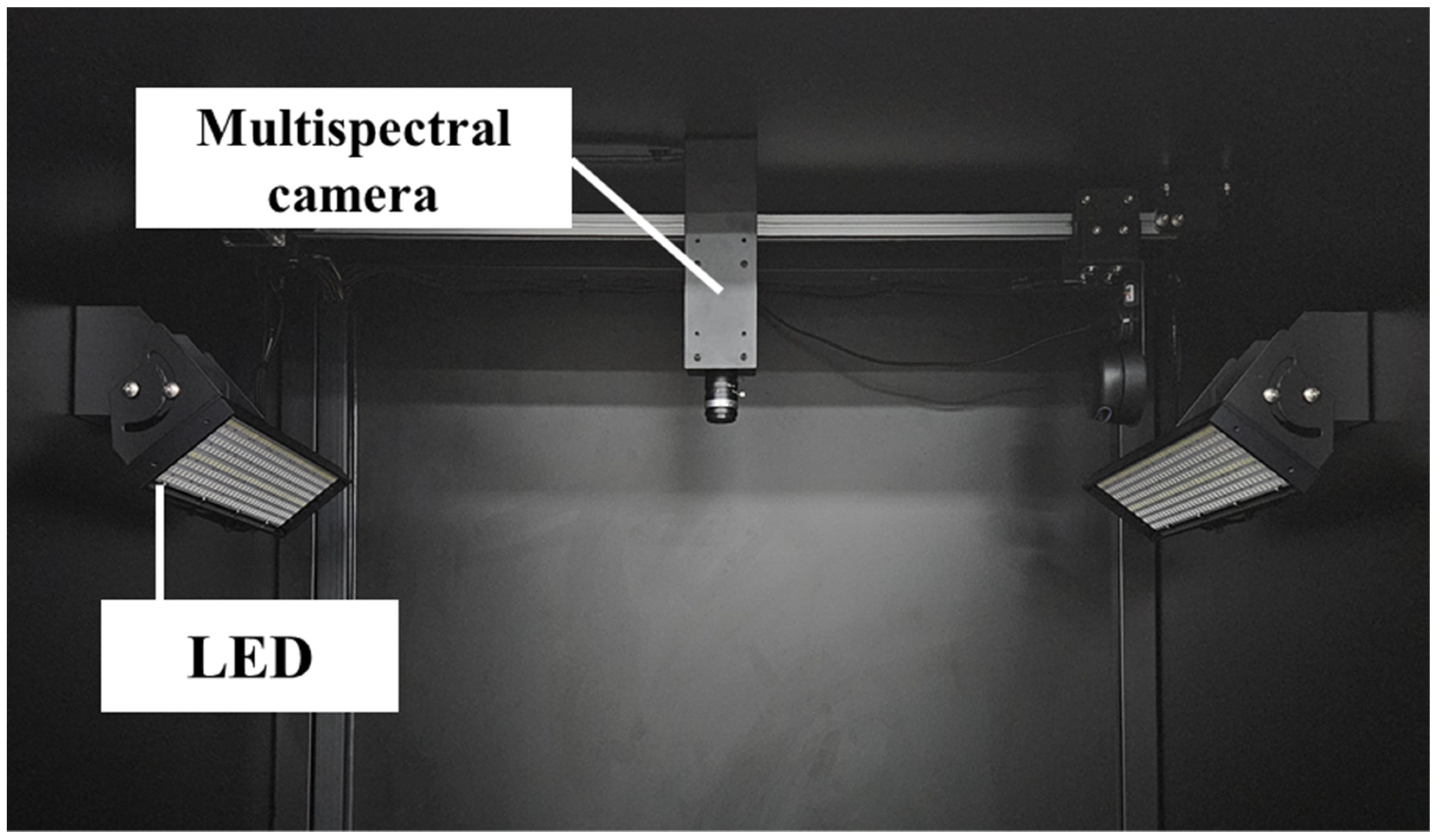 Horticulturae 09 01288 g001