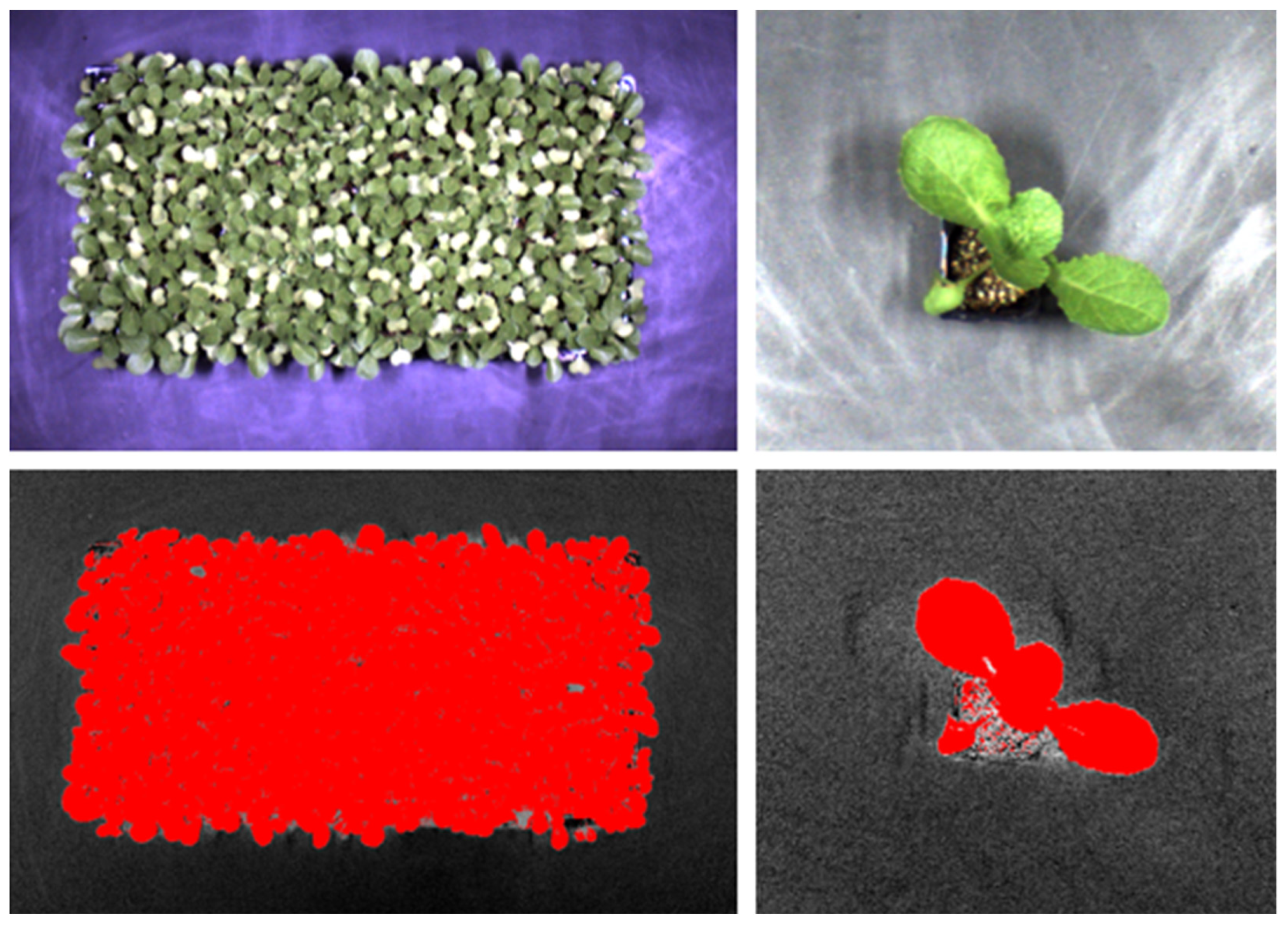 Horticulturae 09 01288 g002