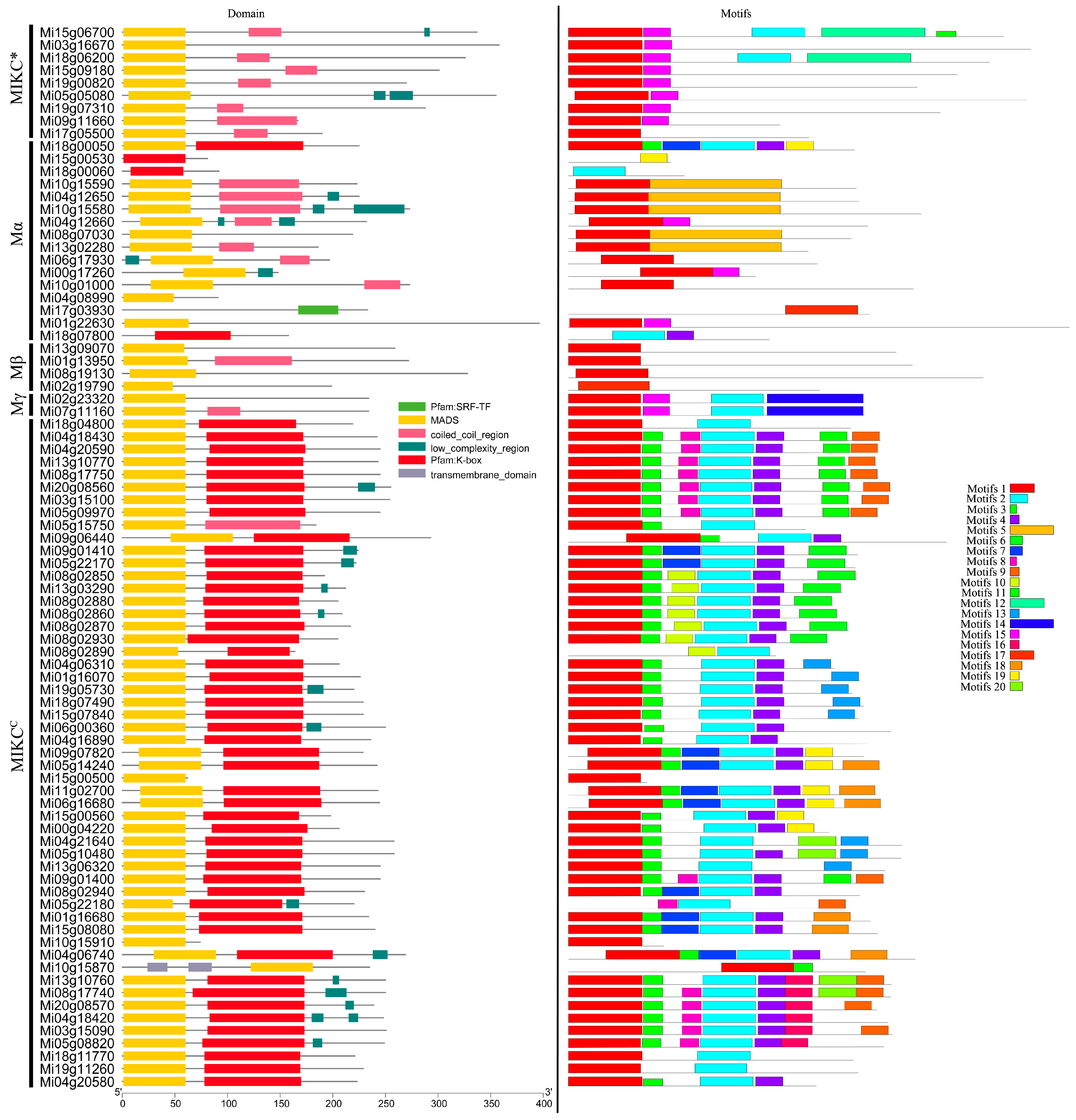 Horticulturae 09 01289 g001